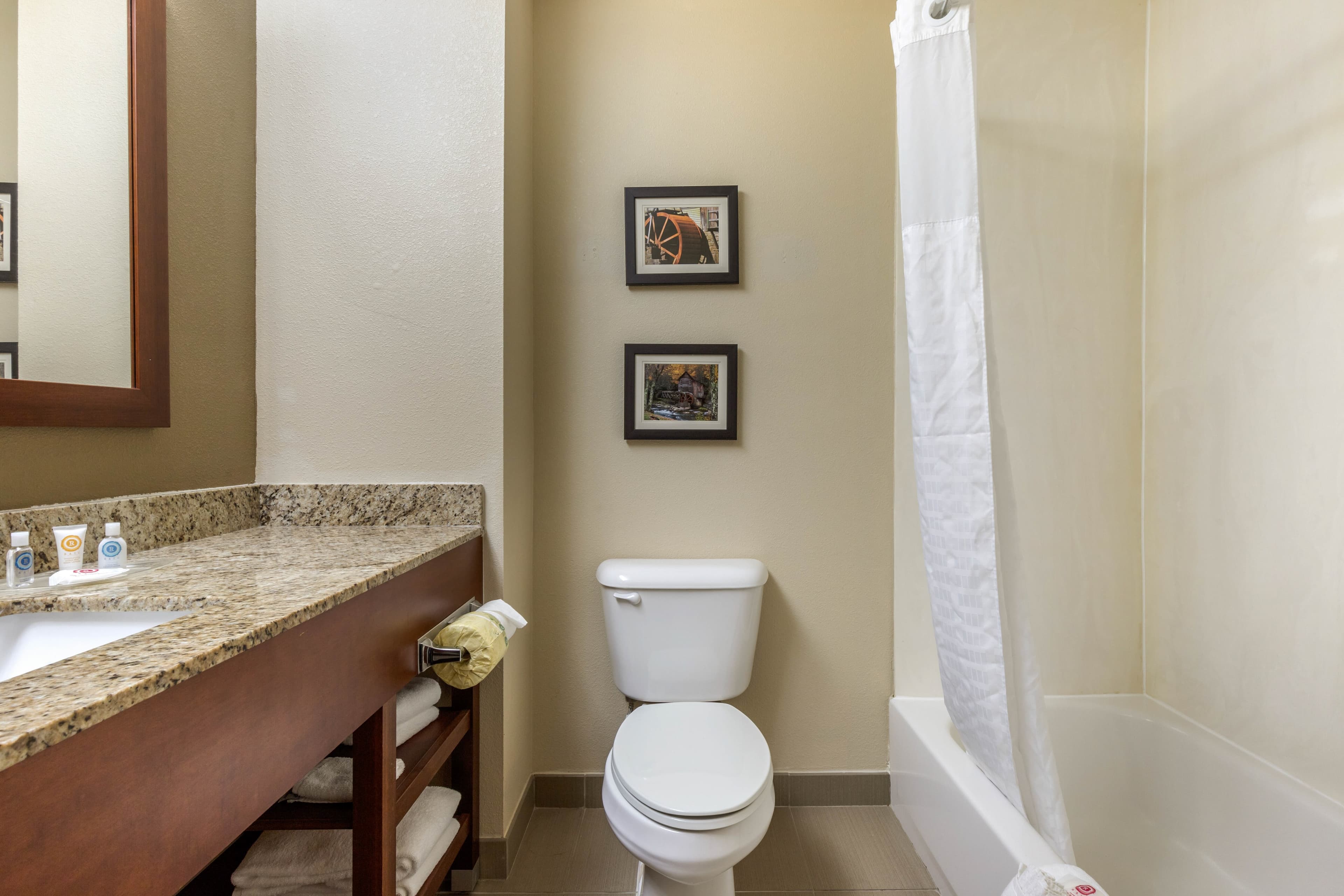 Comfort Suites Johnson City near University — 16