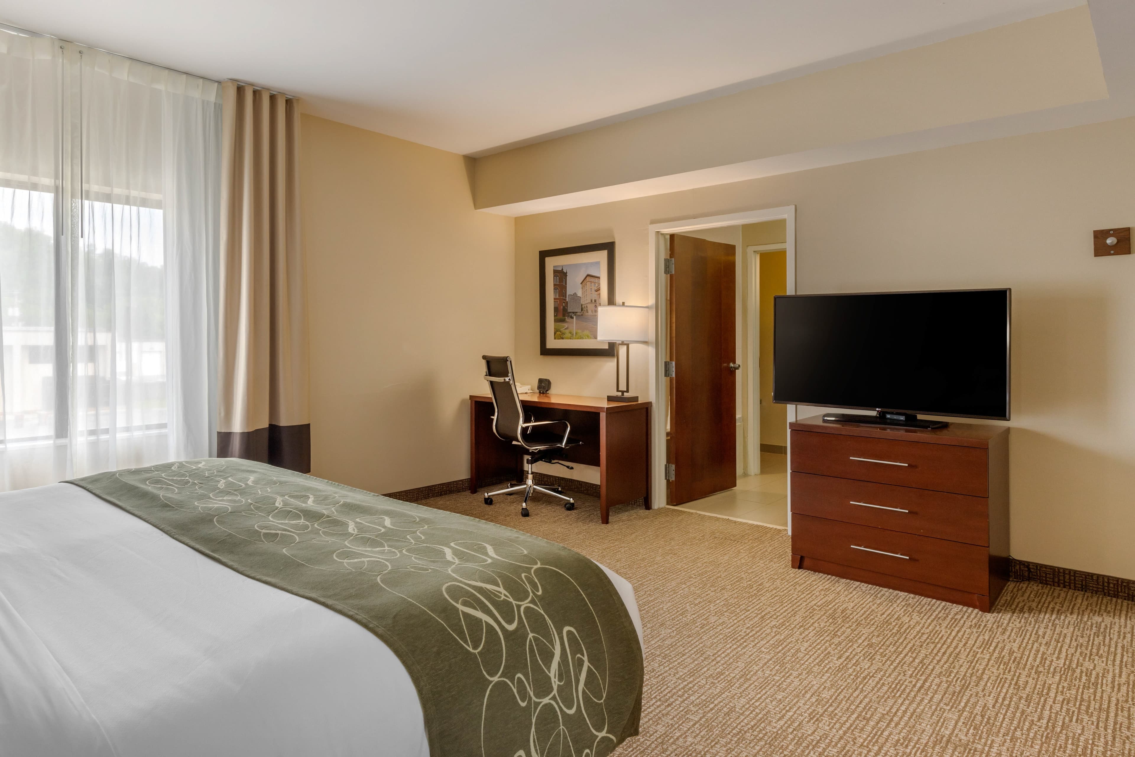 Comfort Suites Johnson City near University — 18