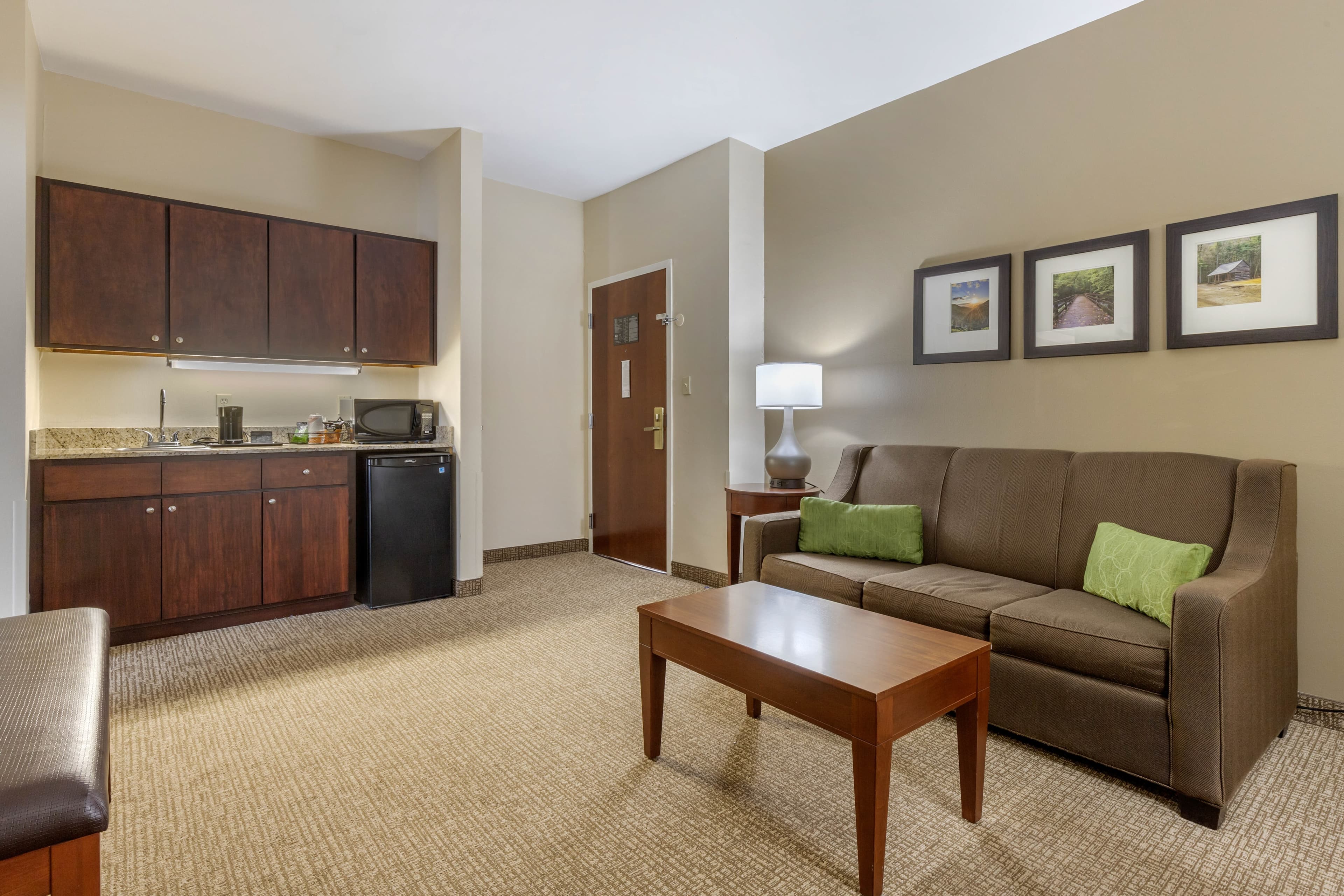 Comfort Suites Johnson City near University — 19