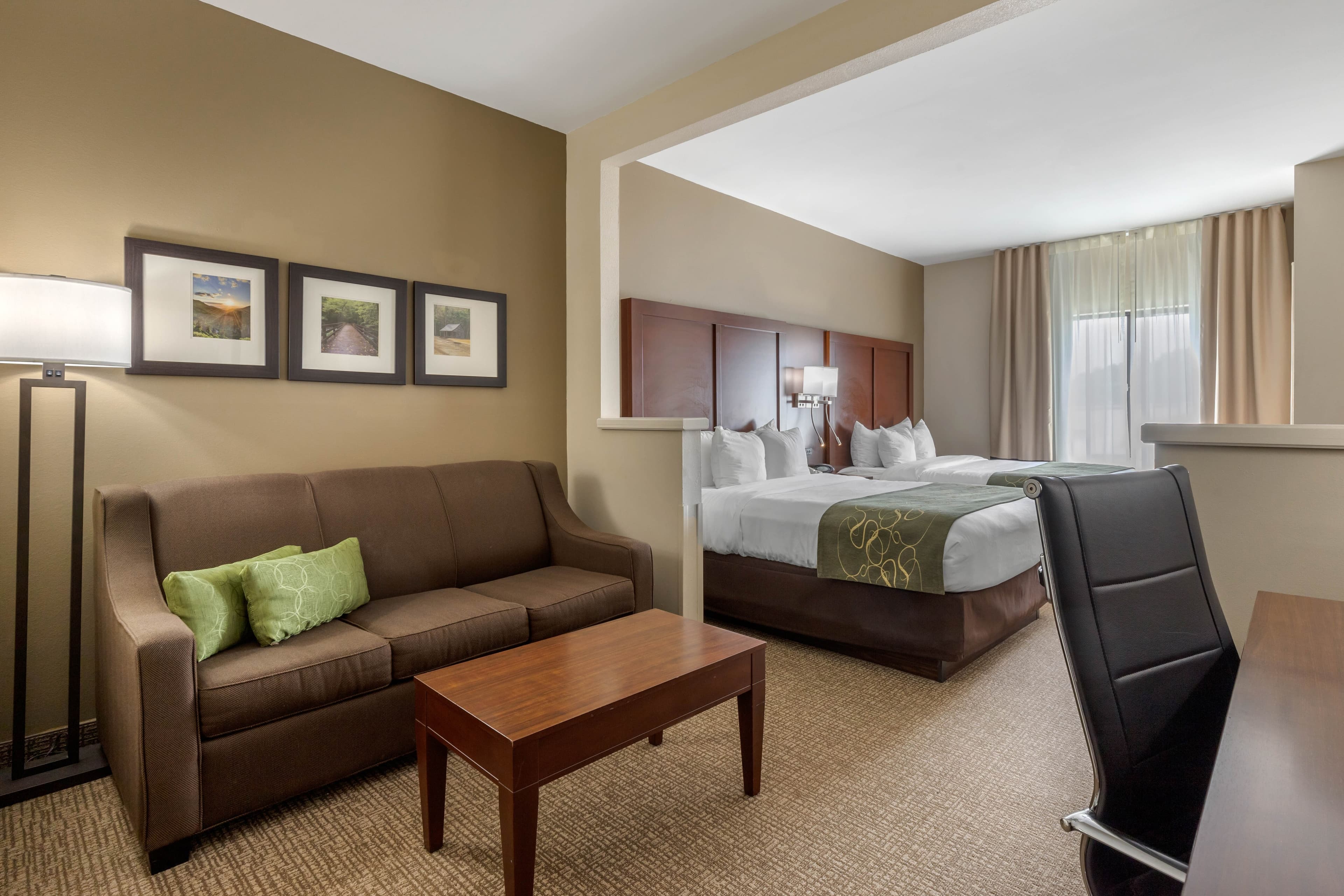 Comfort Suites Johnson City near University — 22