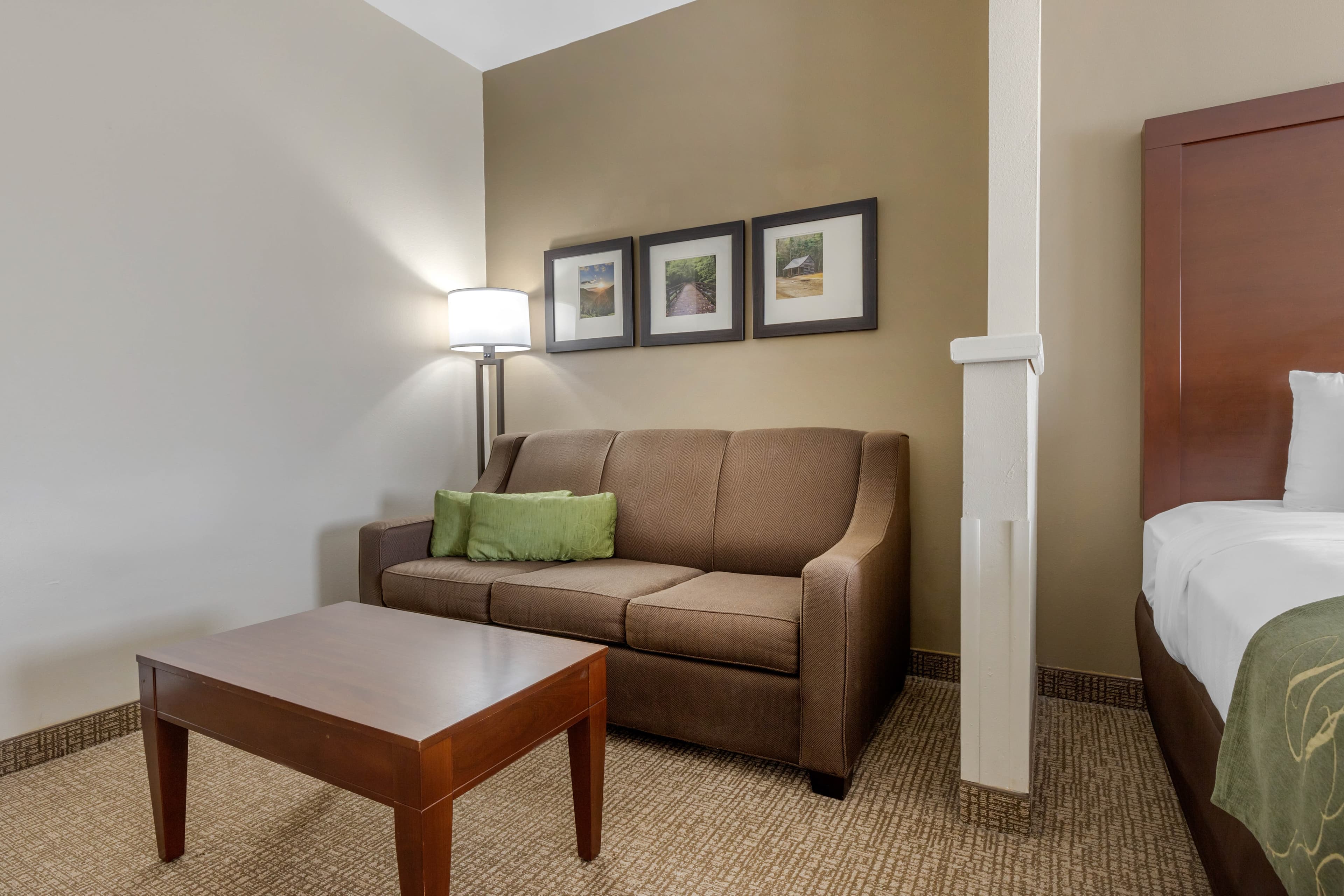 Comfort Suites Johnson City near University — 23