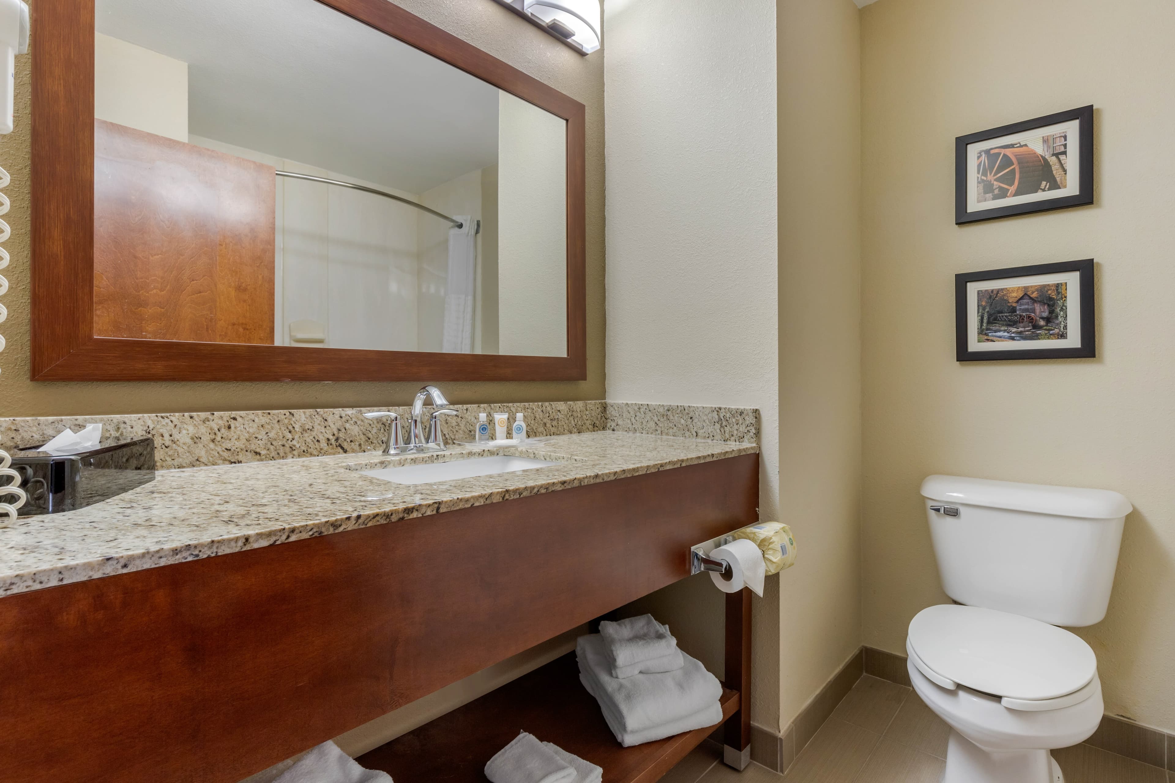 Comfort Suites Johnson City near University — 26