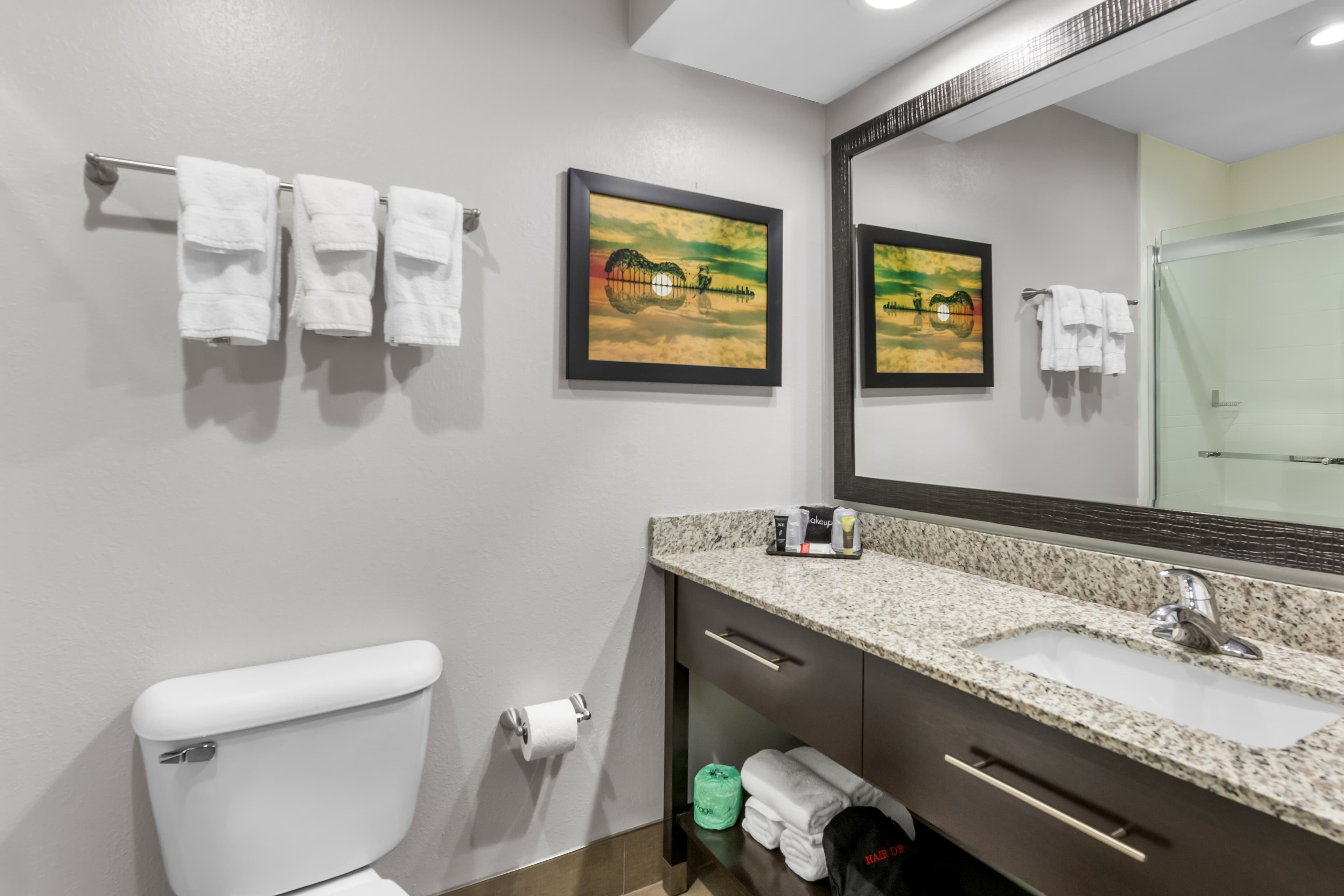 Brentwood Suites Nashville, an Ascend Collection Hotel - Image 5
