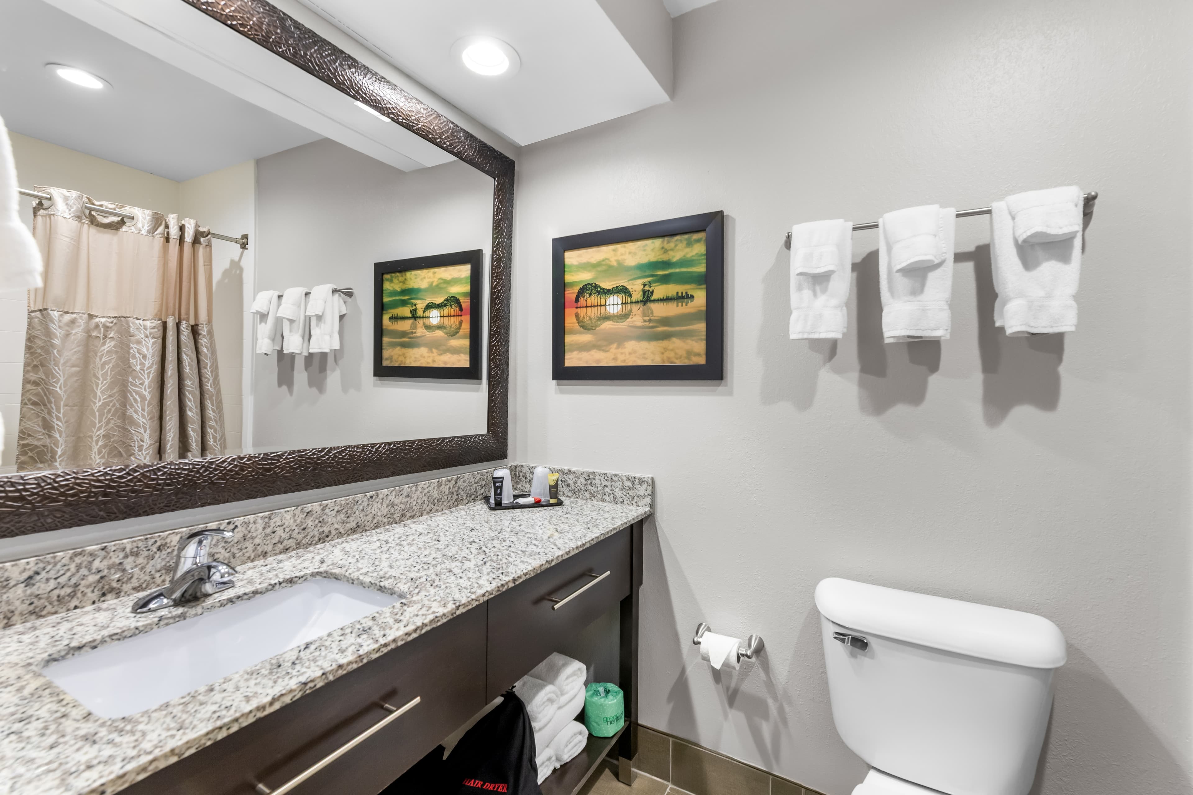 Brentwood Suites Nashville, an Ascend Collection Hotel — 12