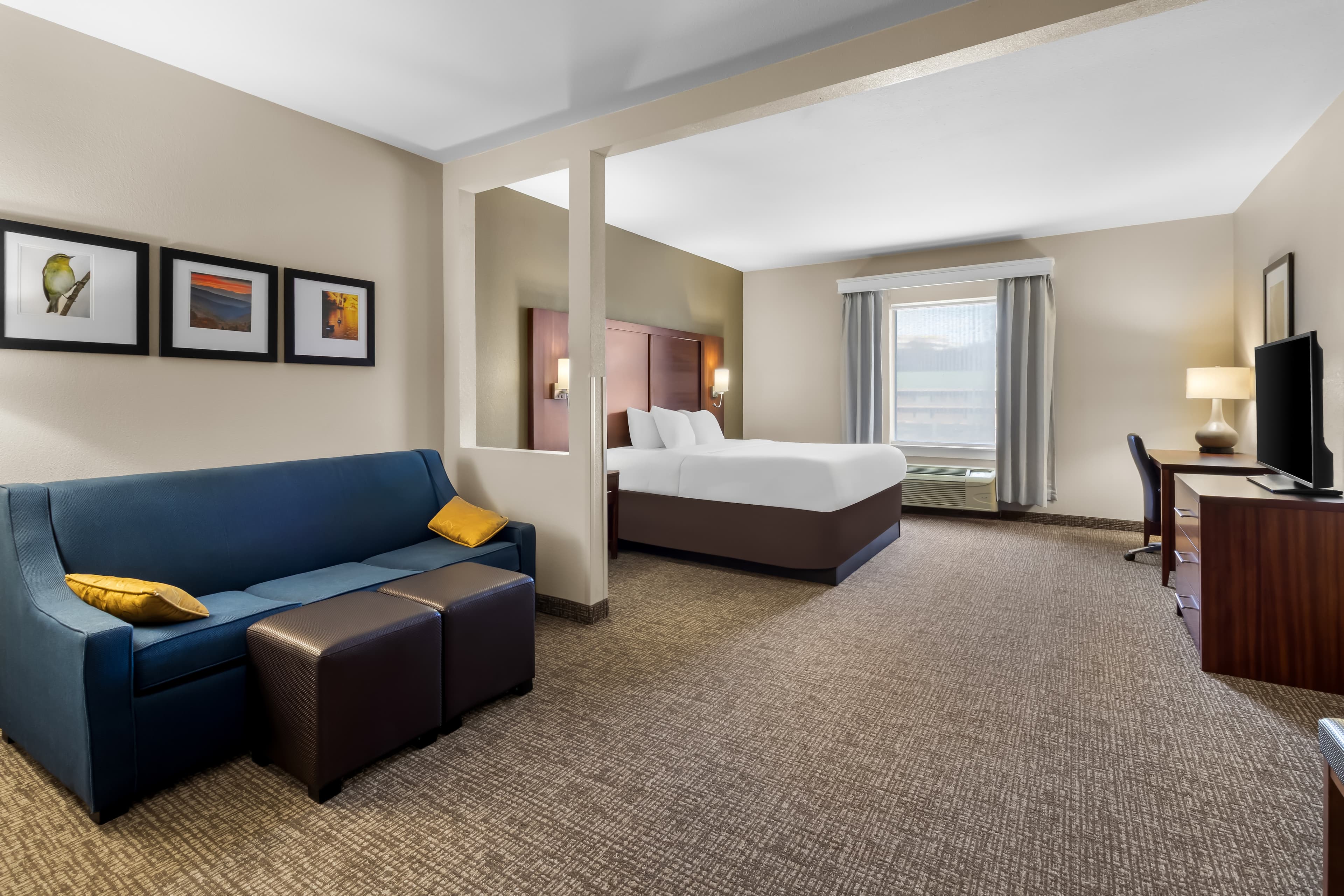 Comfort Suites Goodlettsville Rivergate - Image 2