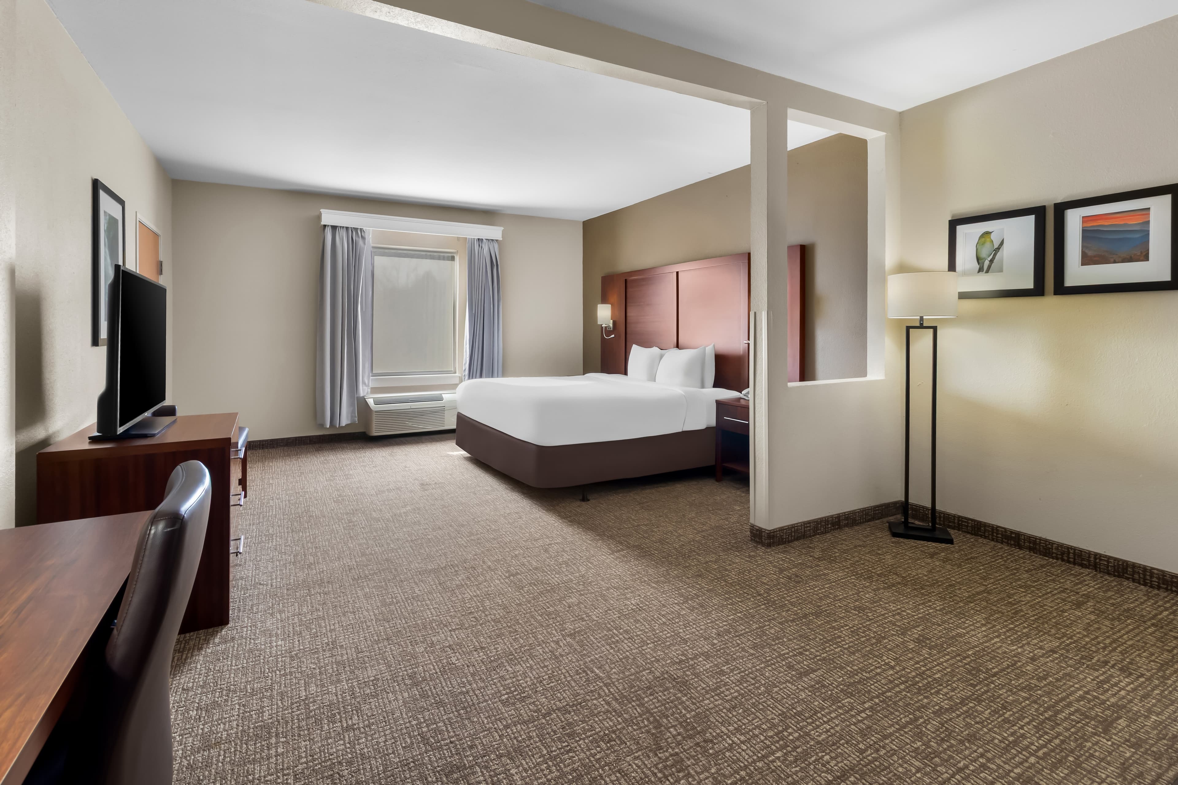 Comfort Suites Goodlettsville Rivergate — 11