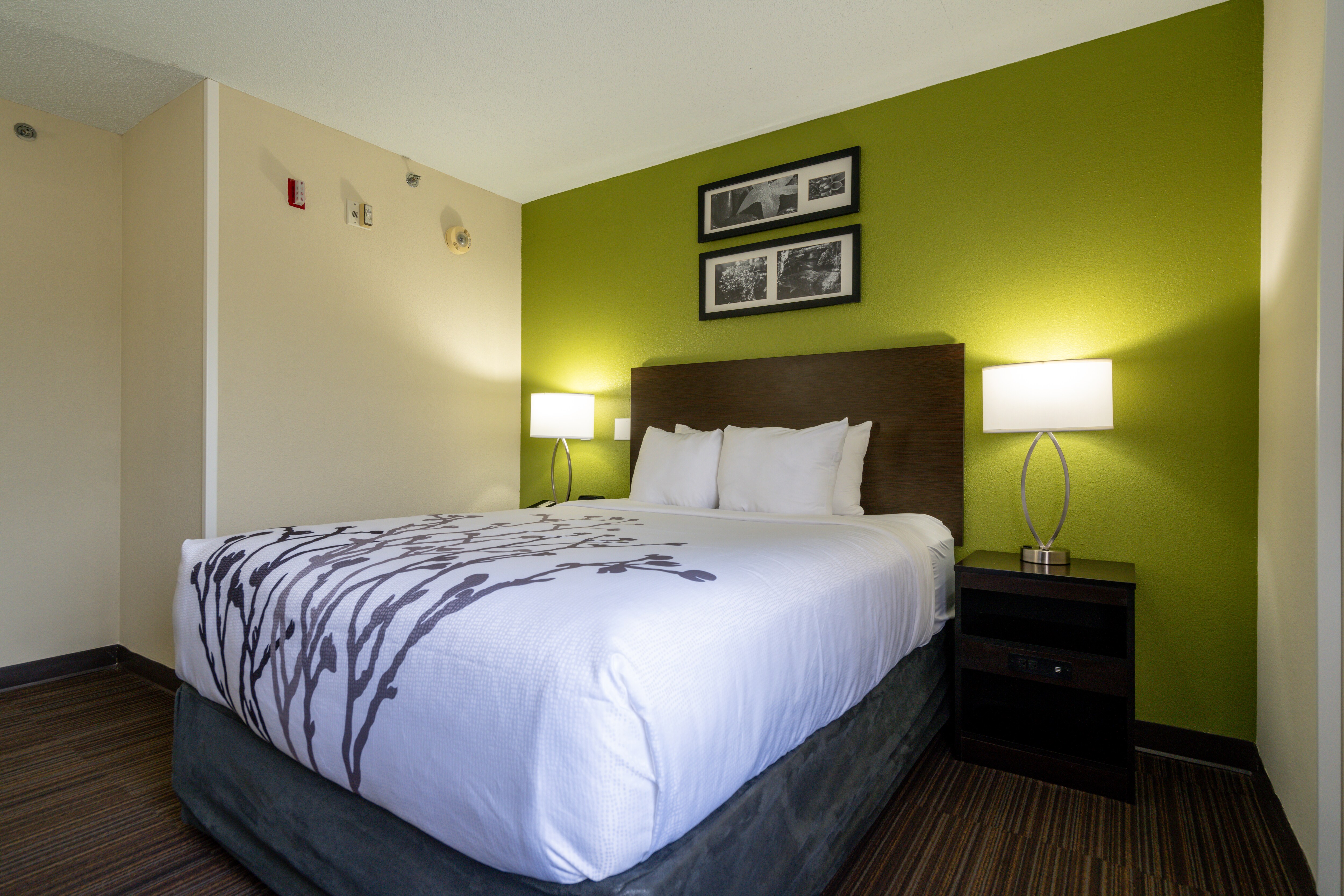 Sleep Inn Murfreesboro Shopping District - Image 4