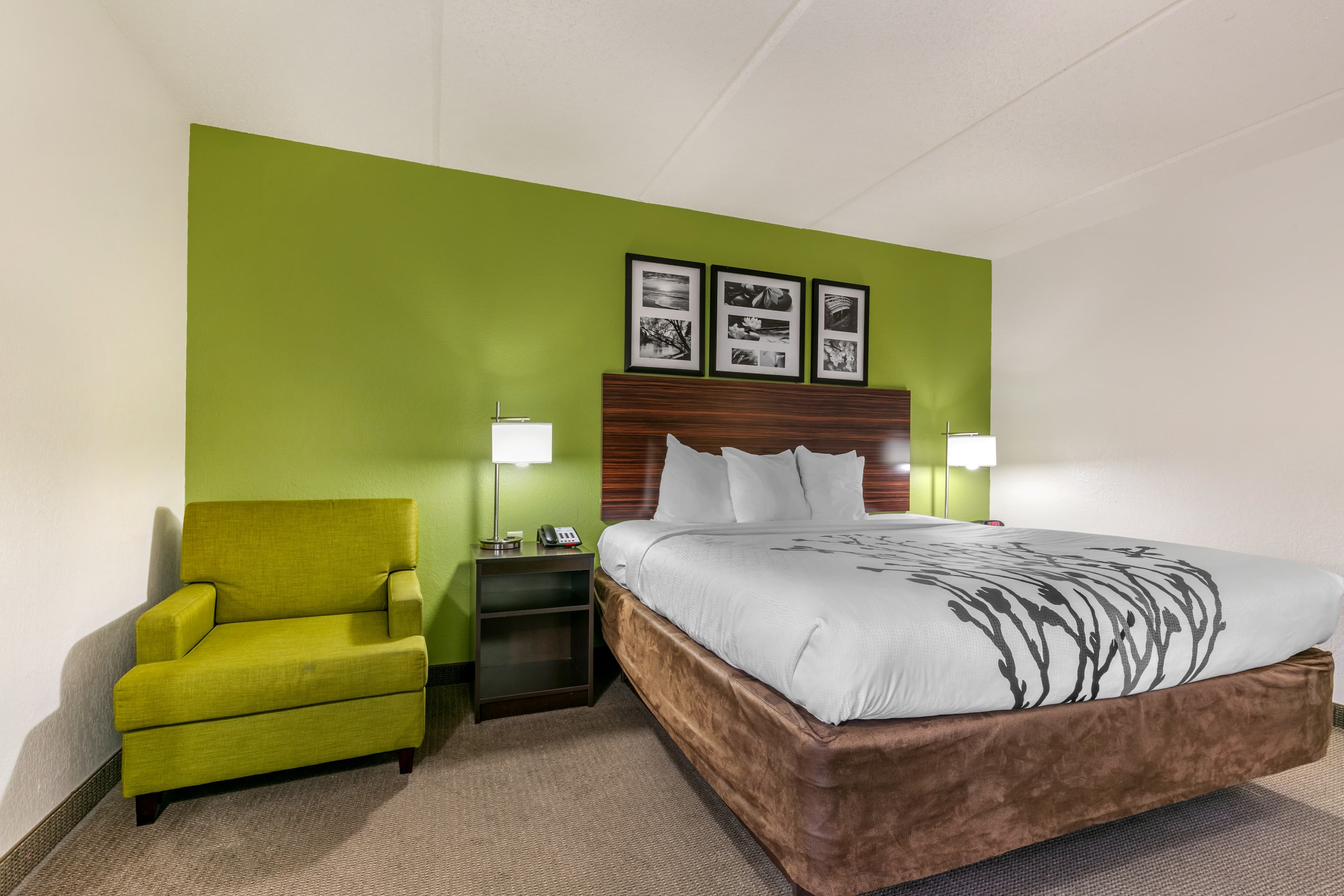 Sleep Inn & Suites near Sports World Blvd. - Image 3