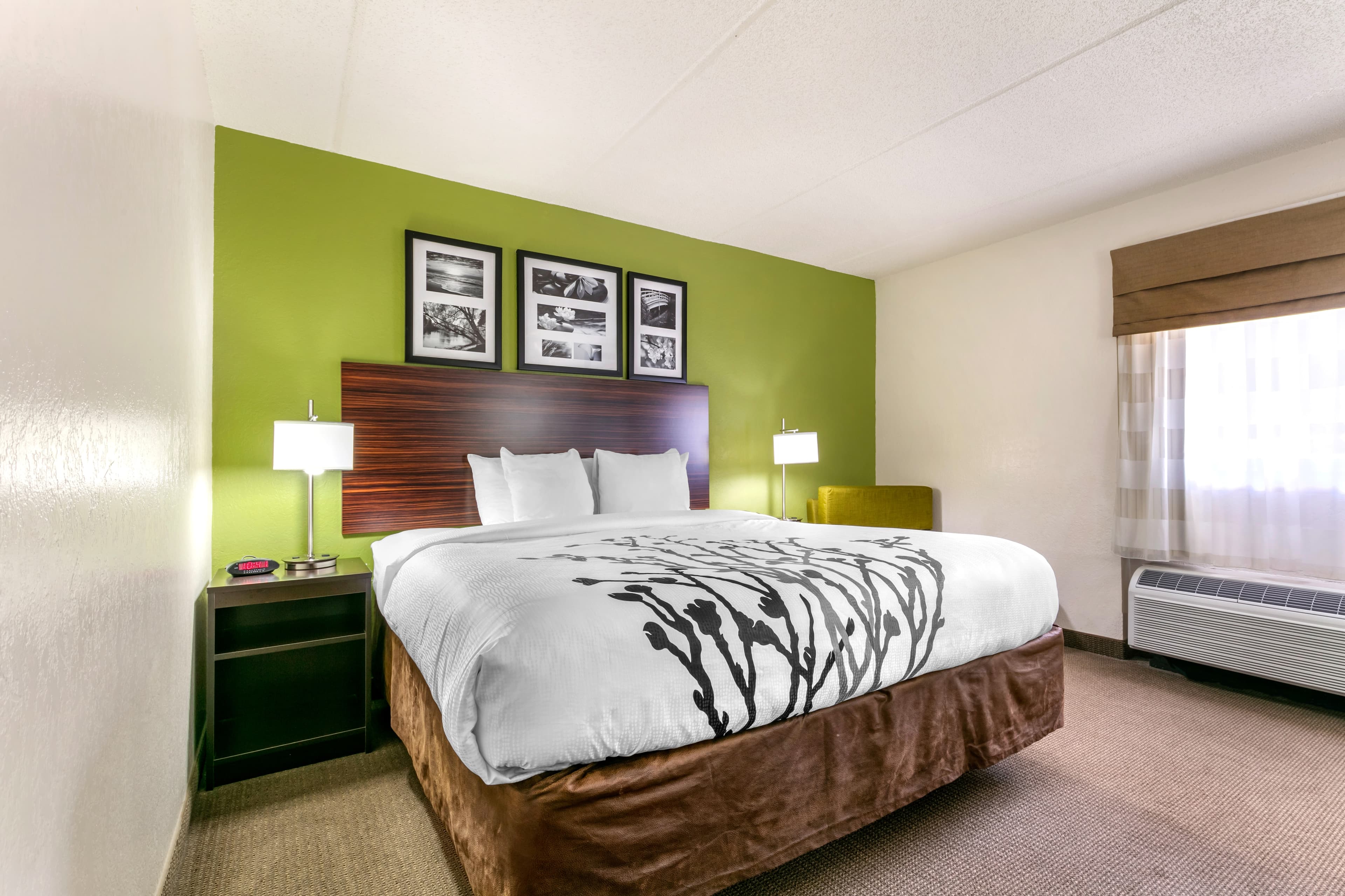 Sleep Inn & Suites near Sports World Blvd. - Image 1