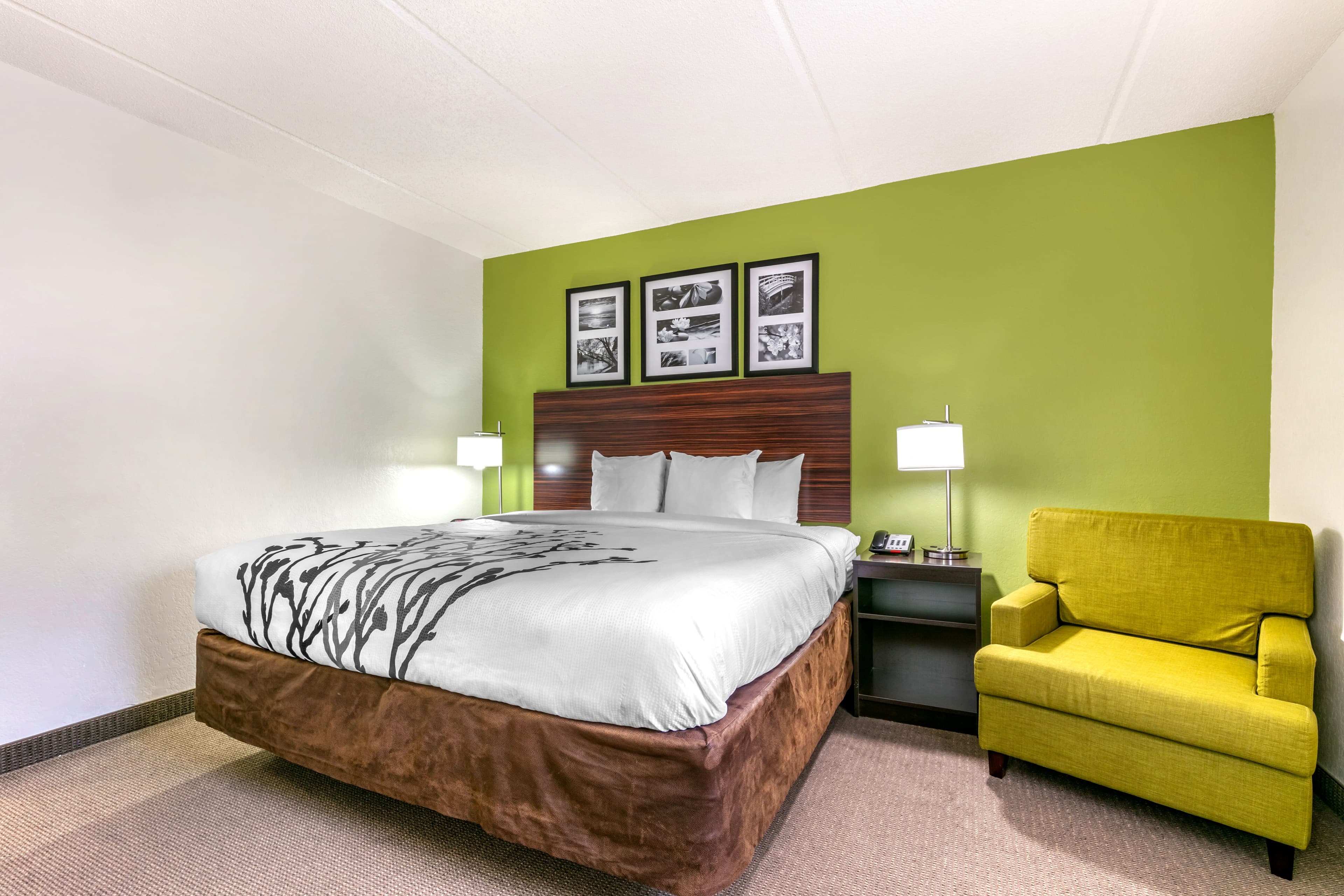 Sleep Inn & Suites near Sports World Blvd. — 11