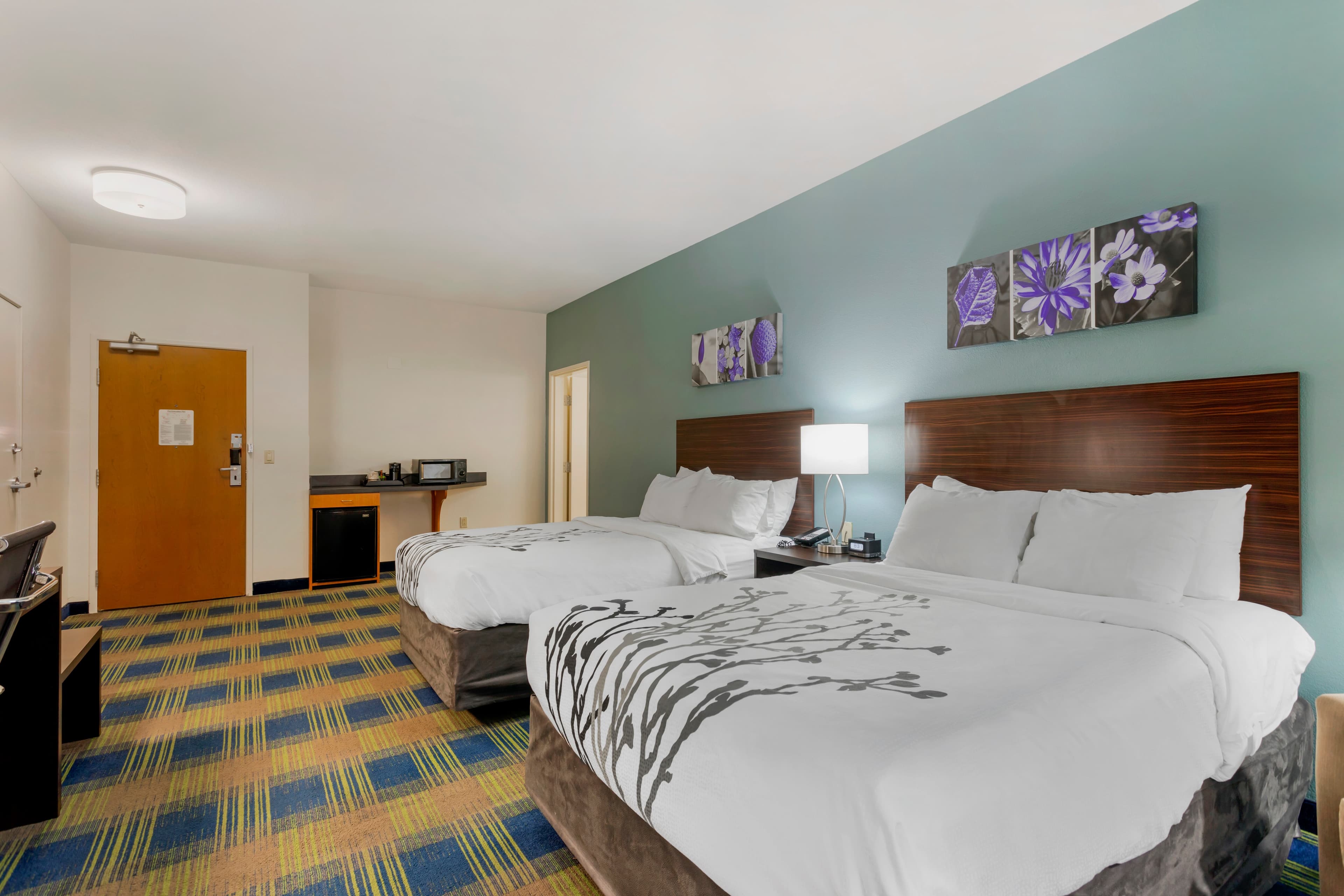 Sleep Inn & Suites Smyrna - Nashville Area - Image 4