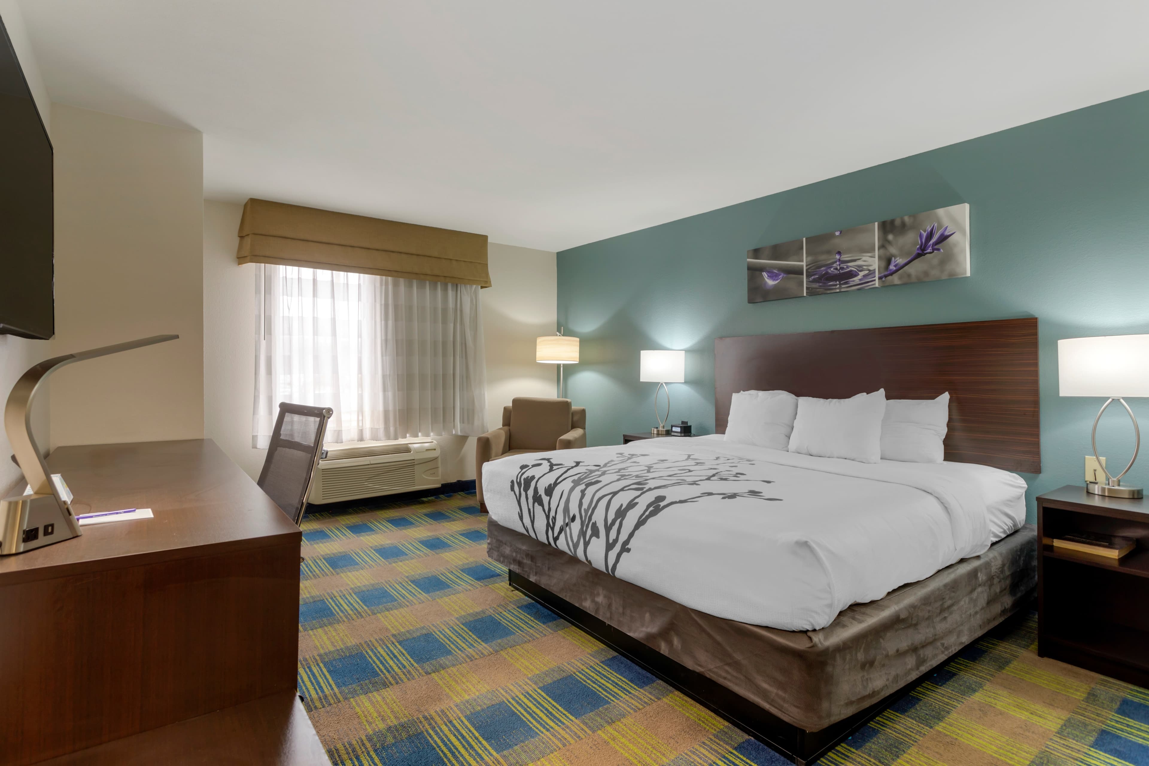 Sleep Inn & Suites Smyrna - Nashville Area — 14