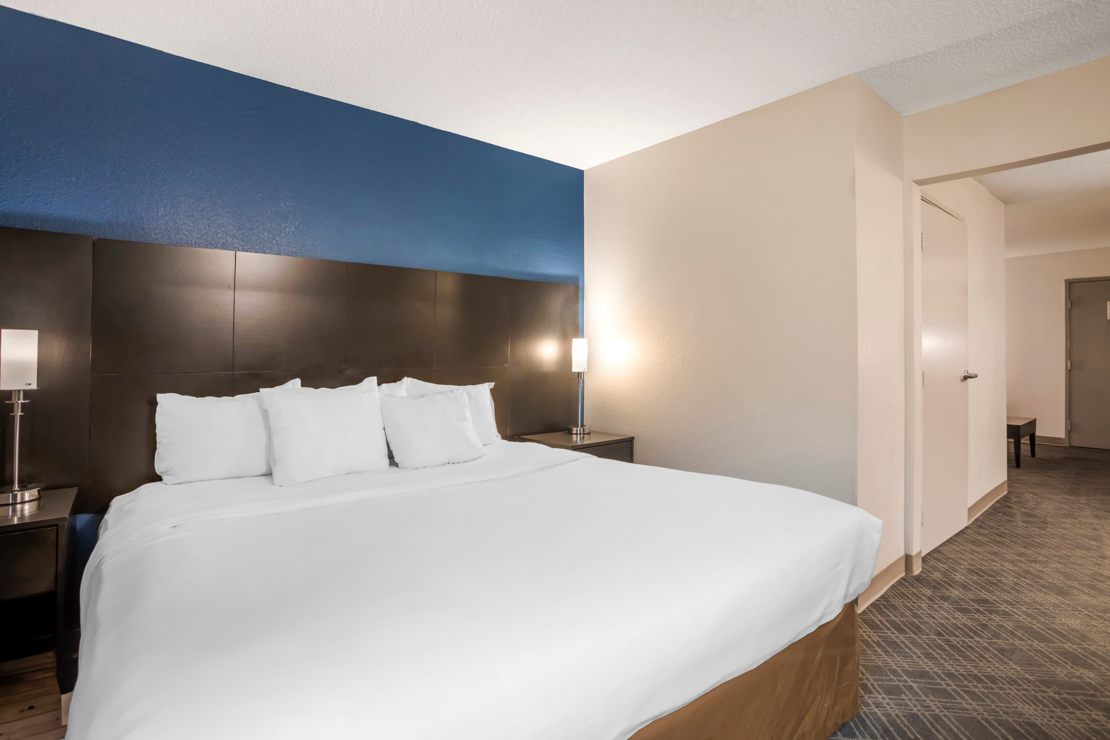Comfort Suites Nashville Airport - BNA — 22