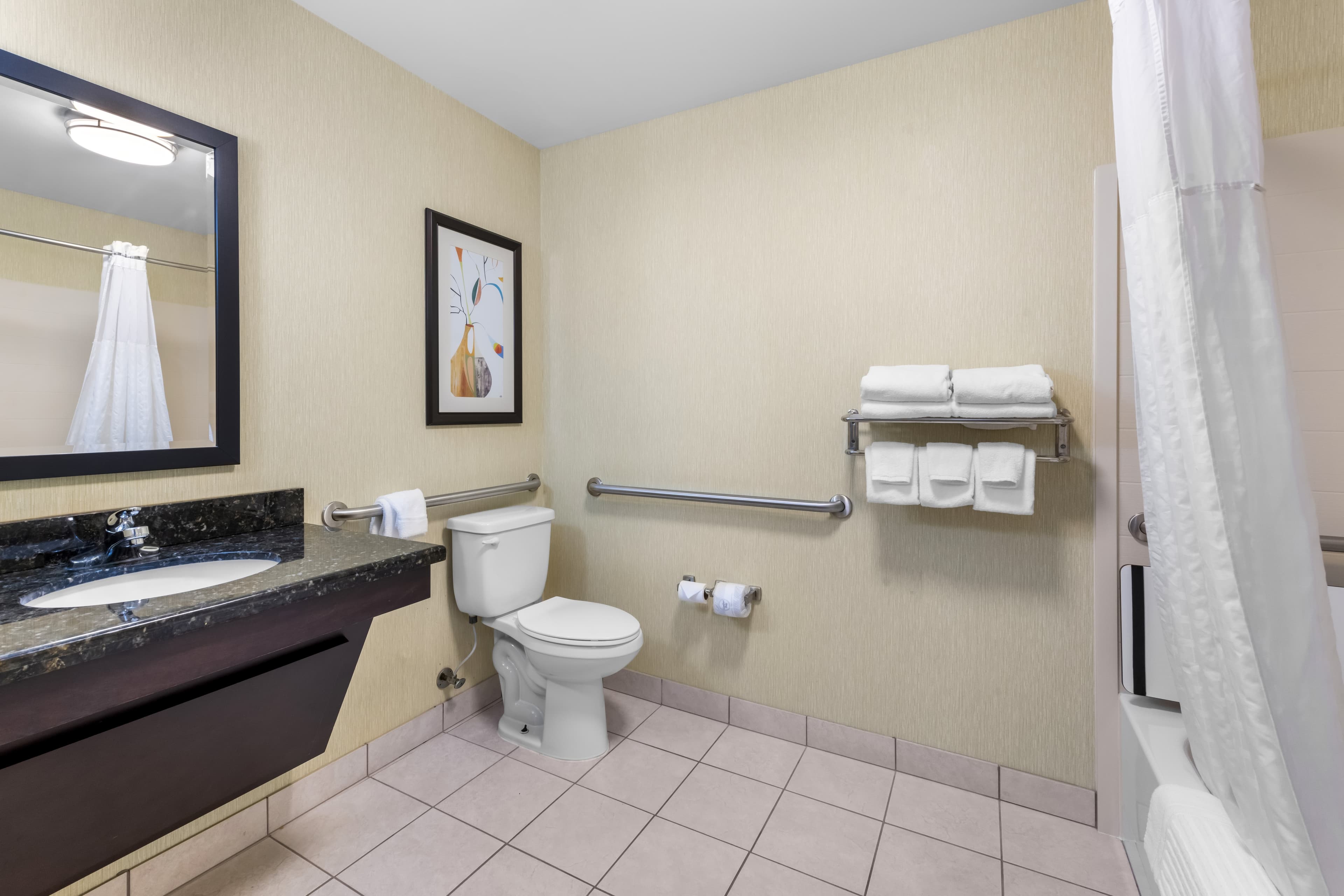 Comfort Suites Knoxville West - Farragut - Image 4