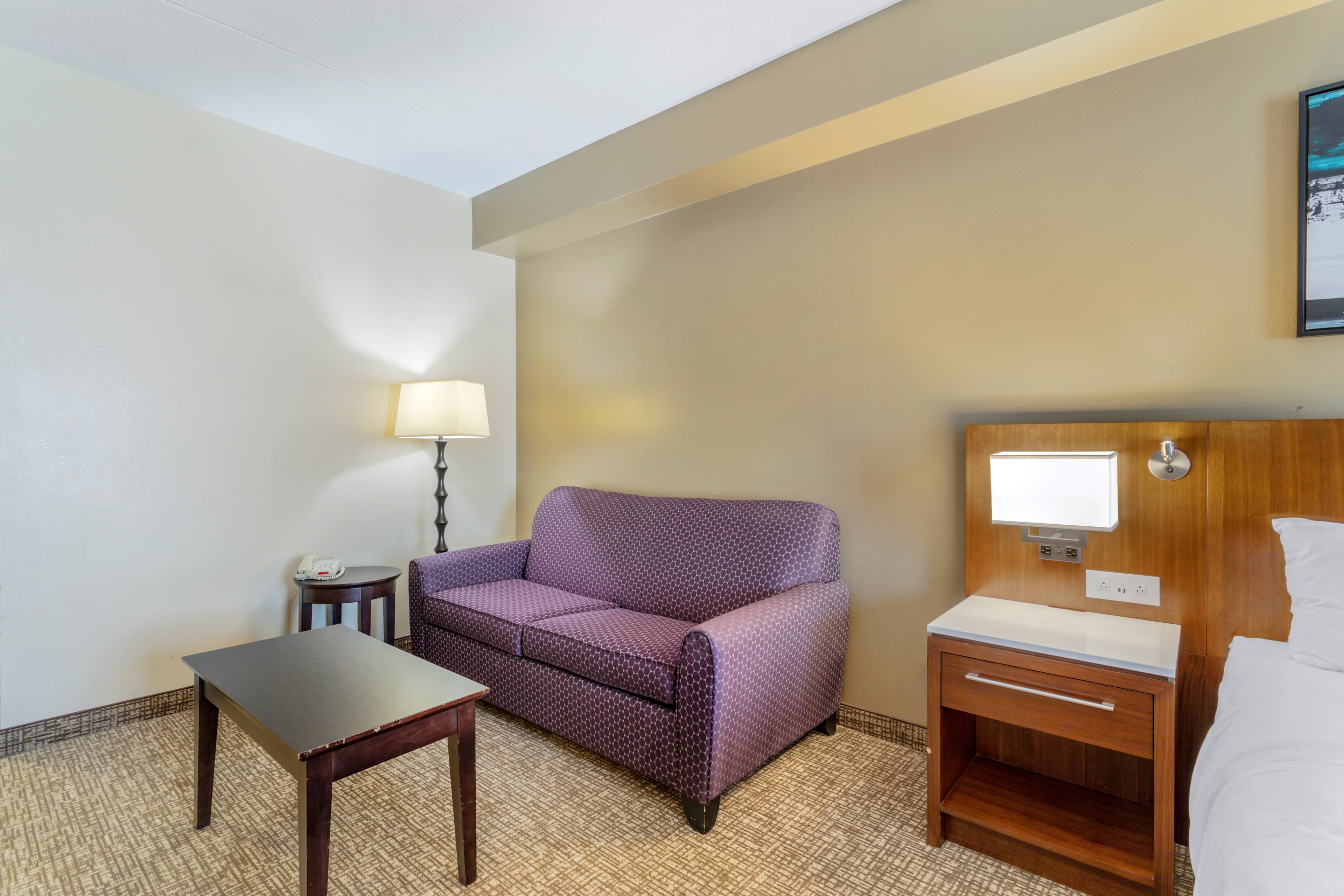 Comfort Suites Knoxville East - Image 4