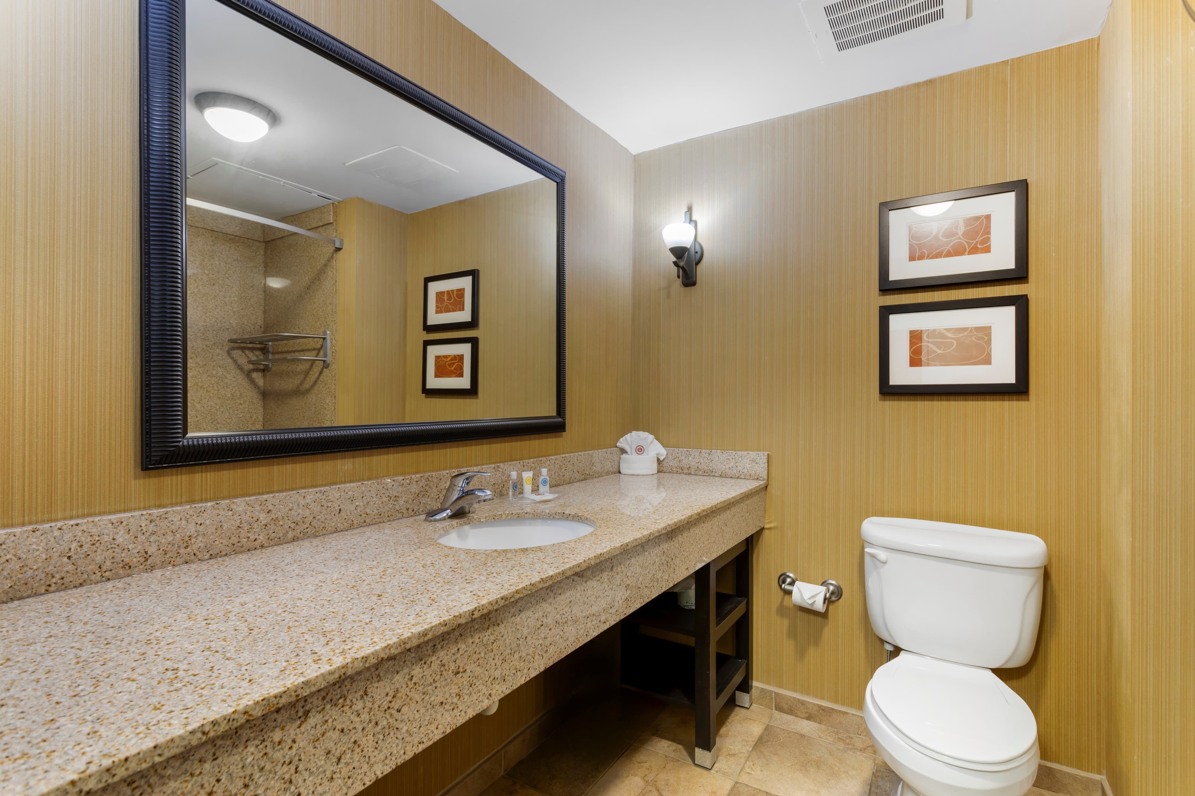 Comfort Suites Kodak Sevierville — 15