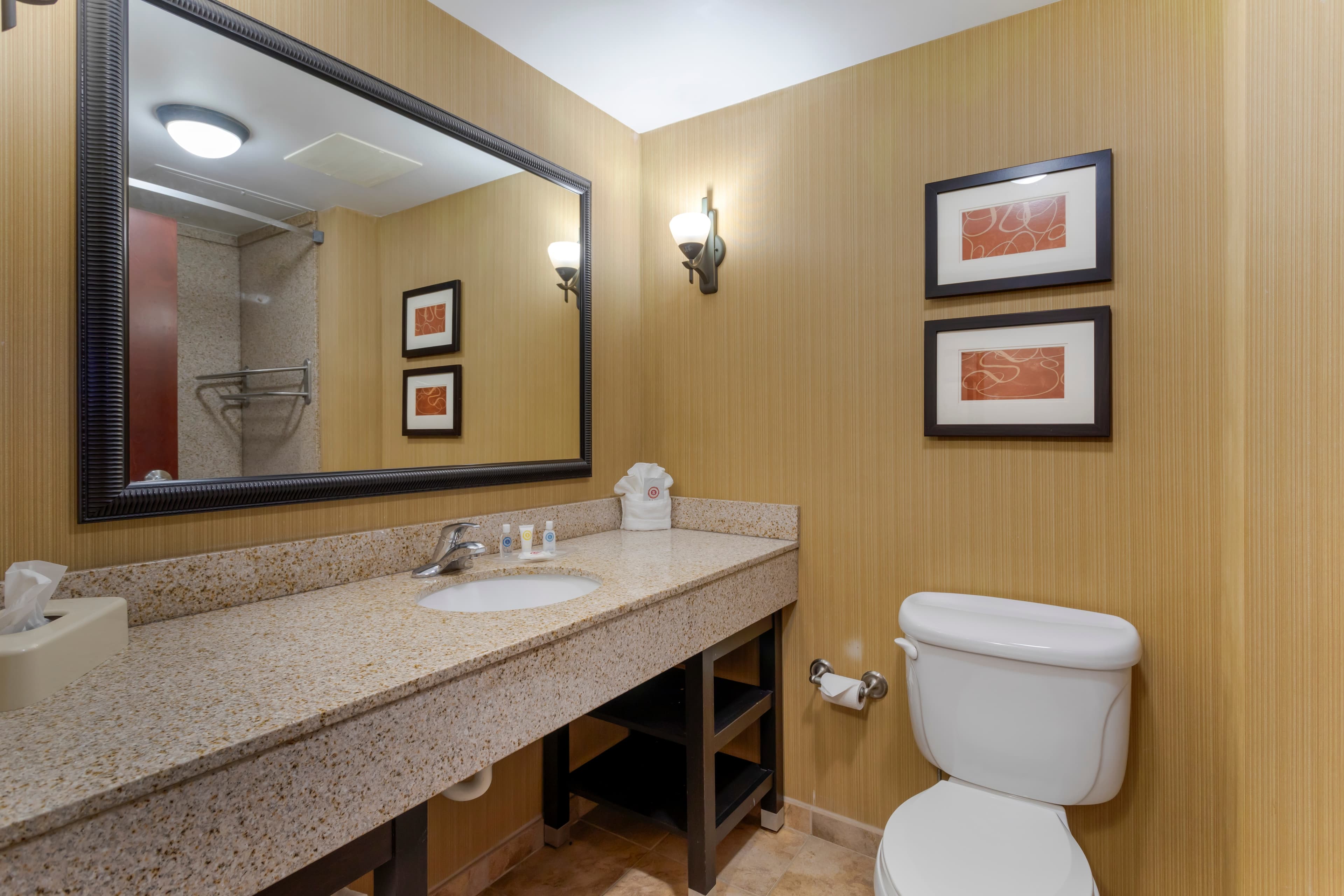 Comfort Suites Kodak Sevierville — 24