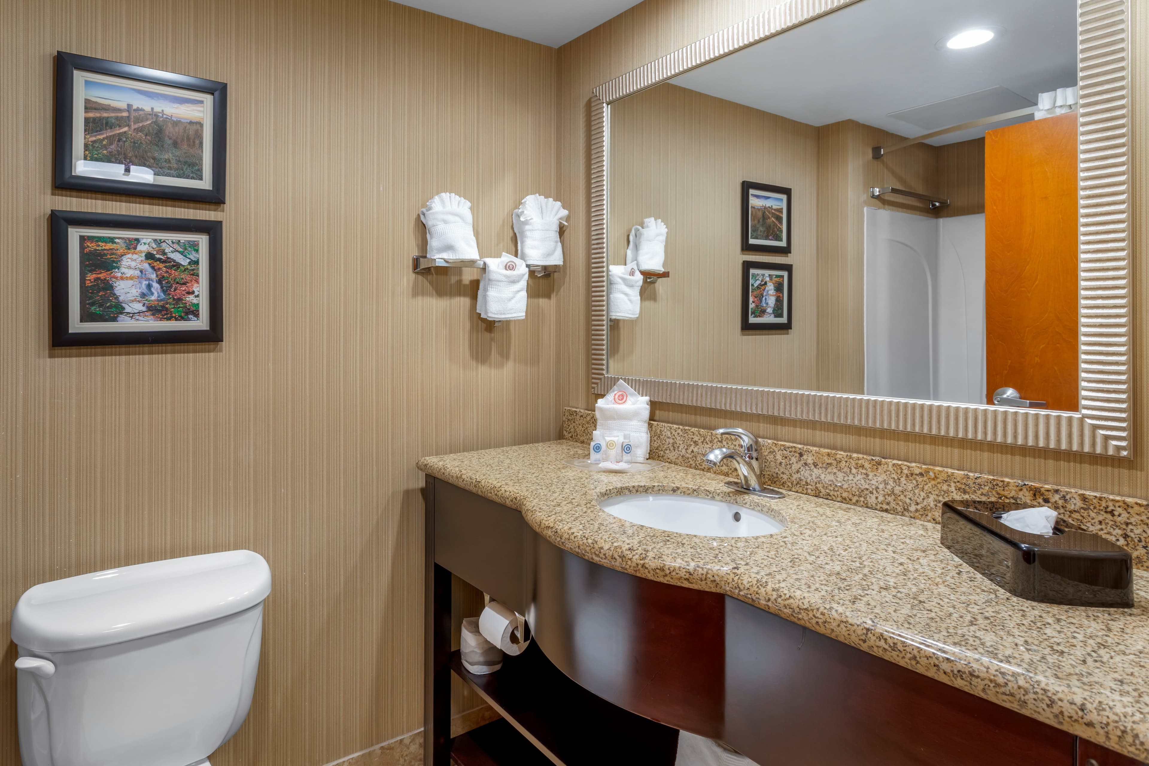 Comfort Suites Knoxville North — 17
