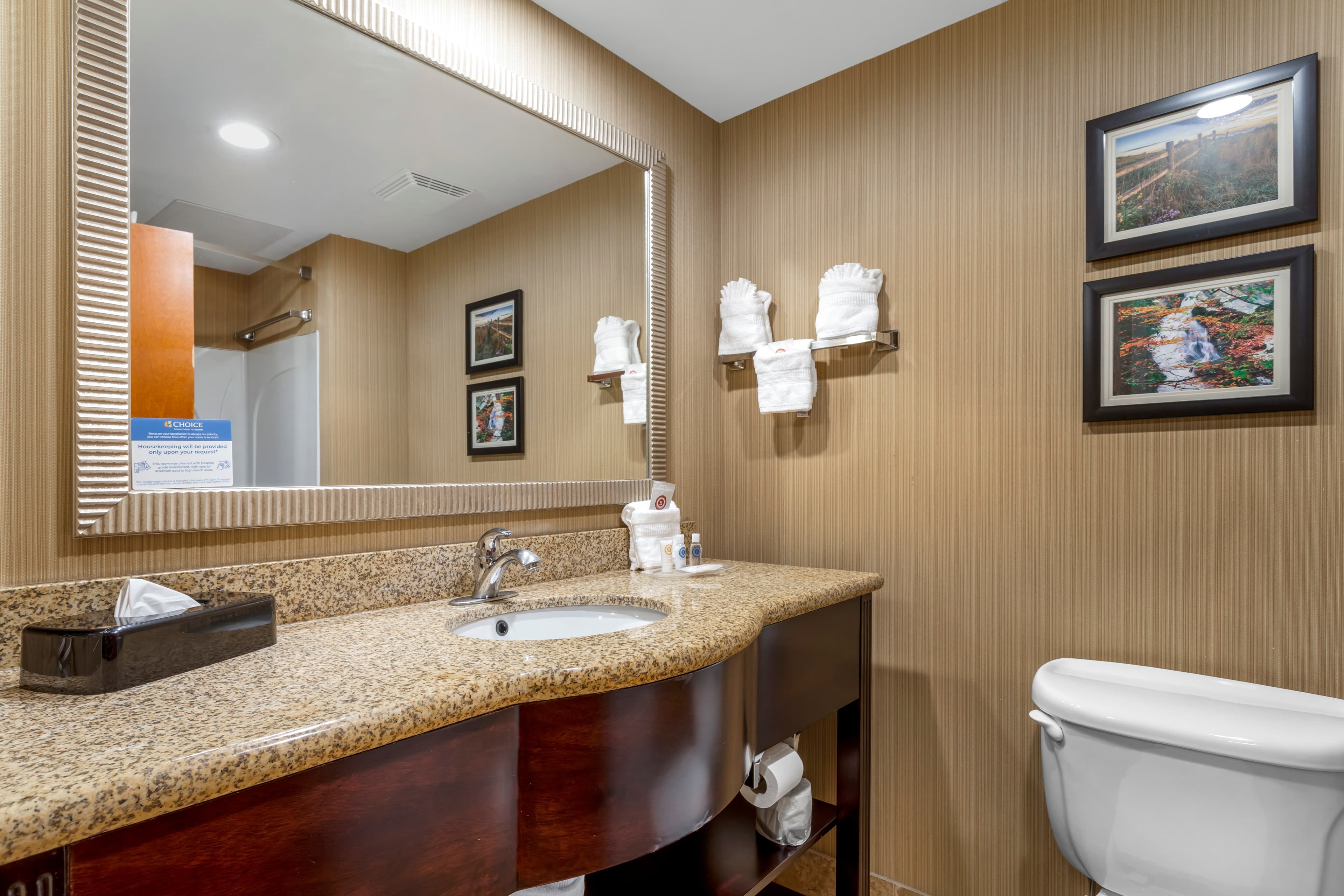 Comfort Suites Knoxville North — 22