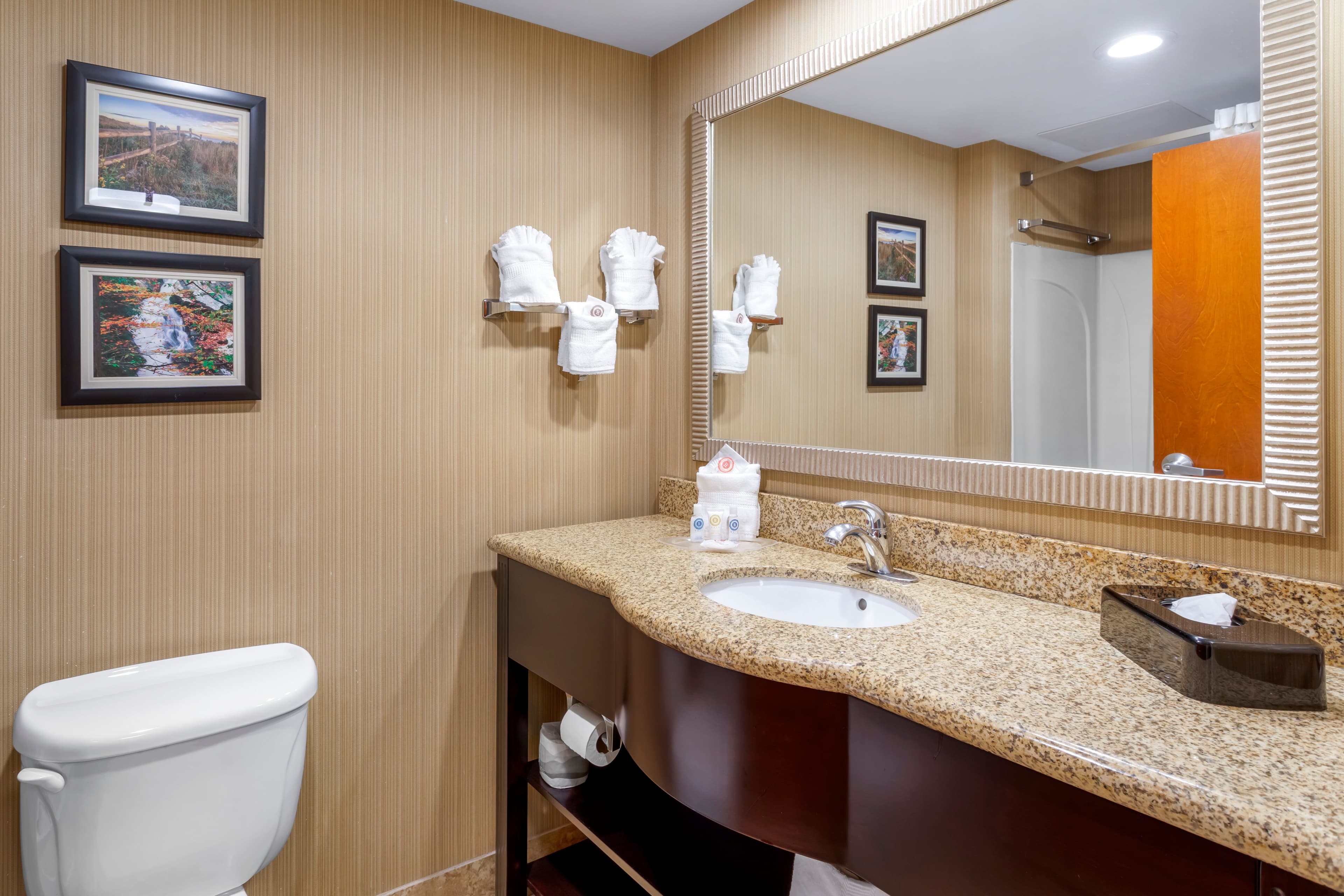Comfort Suites Knoxville North — 28