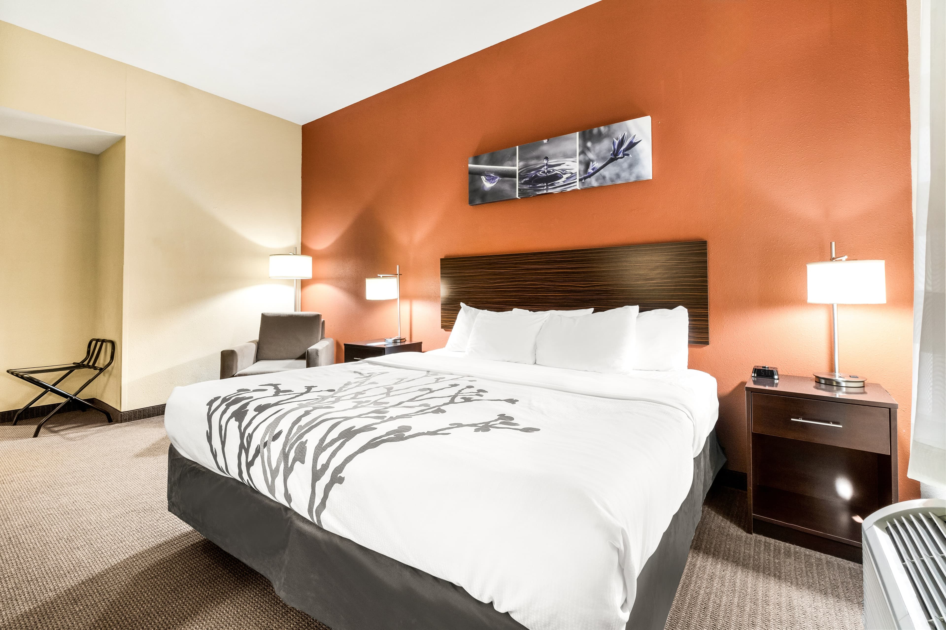 Sleep Inn & Suites Dyersburg I-155 - Image 4
