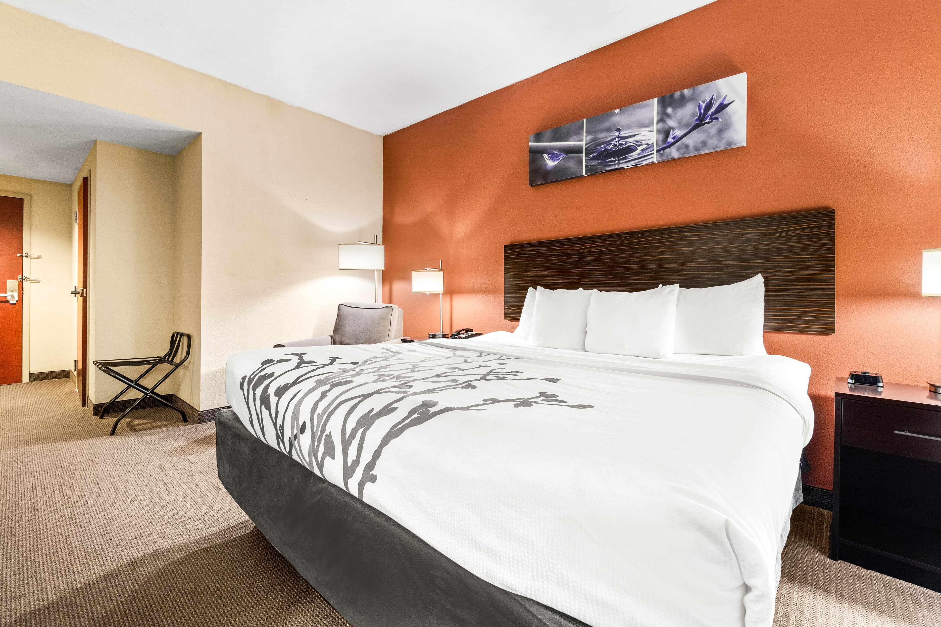 Sleep Inn & Suites Dyersburg I-155 — 20
