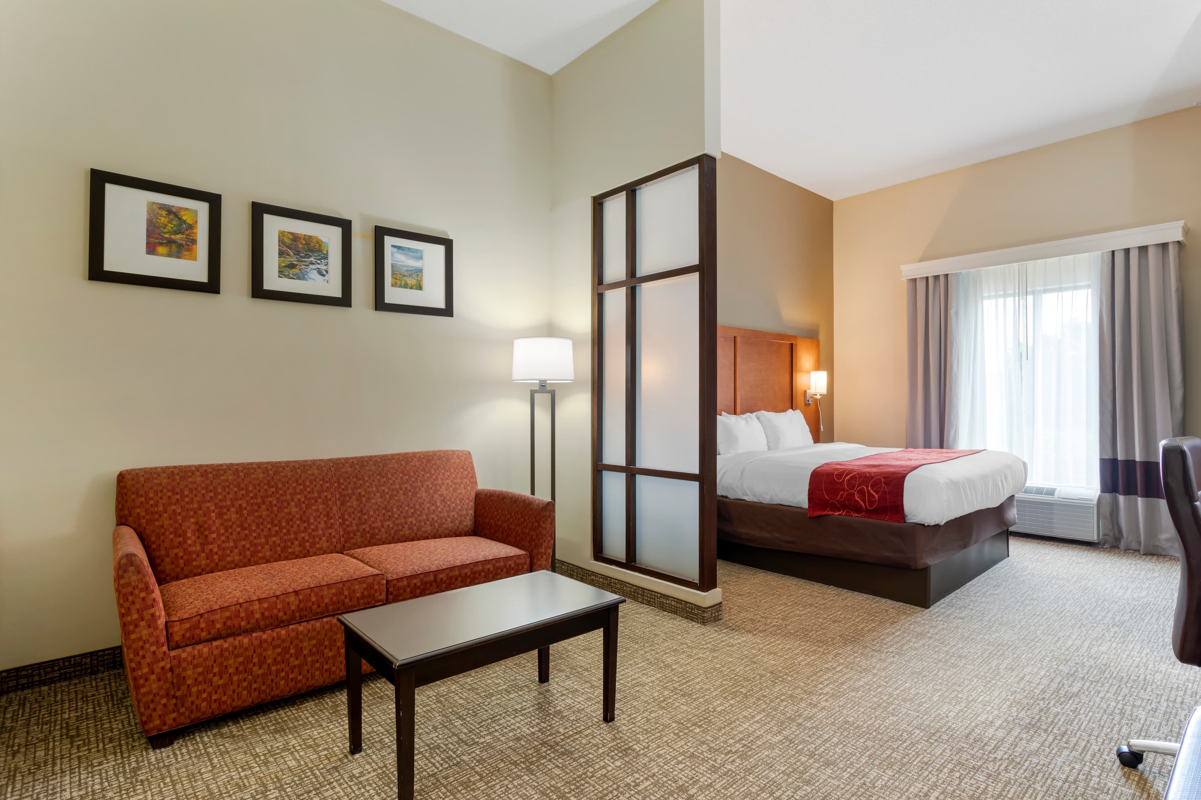 Comfort Suites Kingsport South — 11