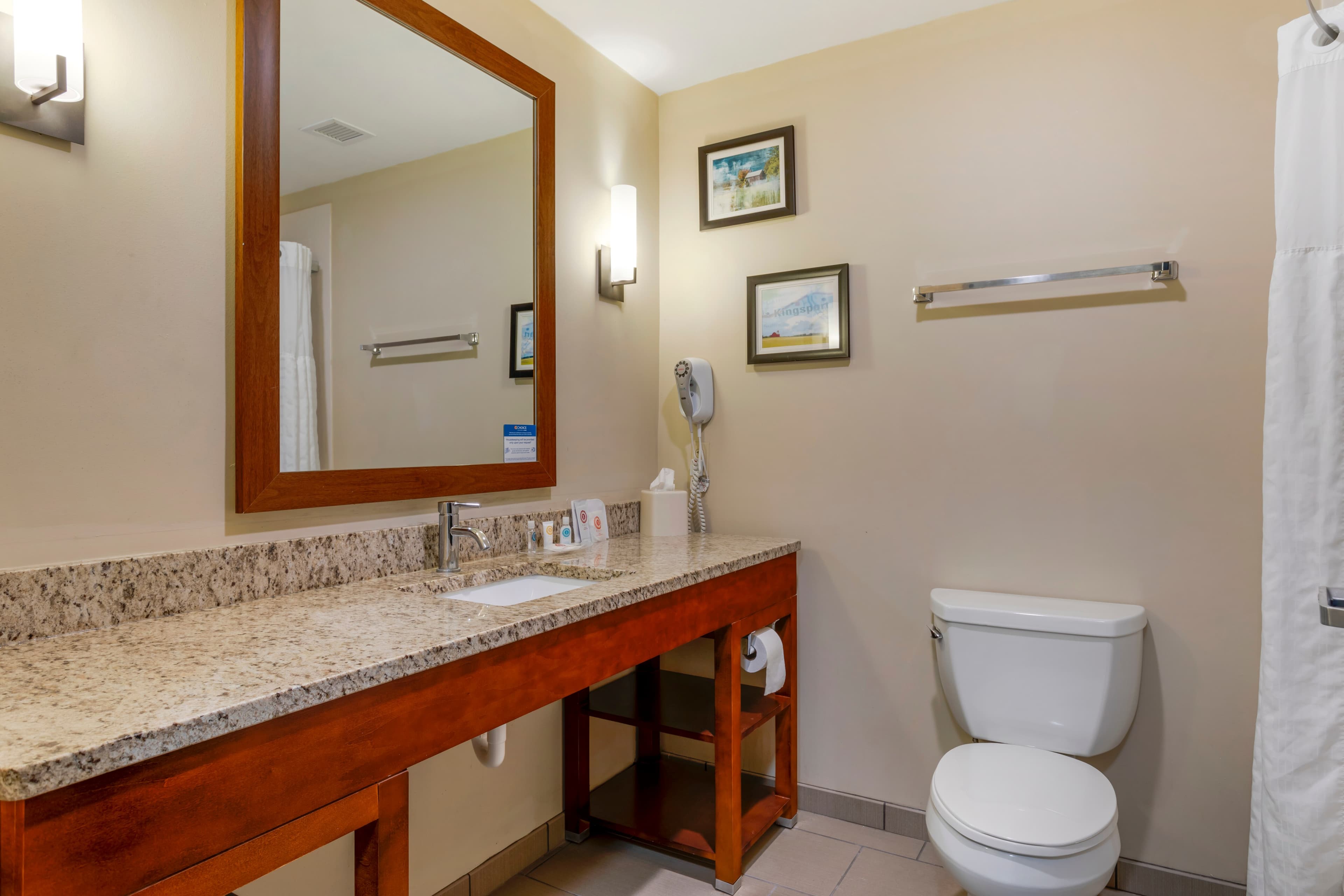 Comfort Suites Kingsport South — 13