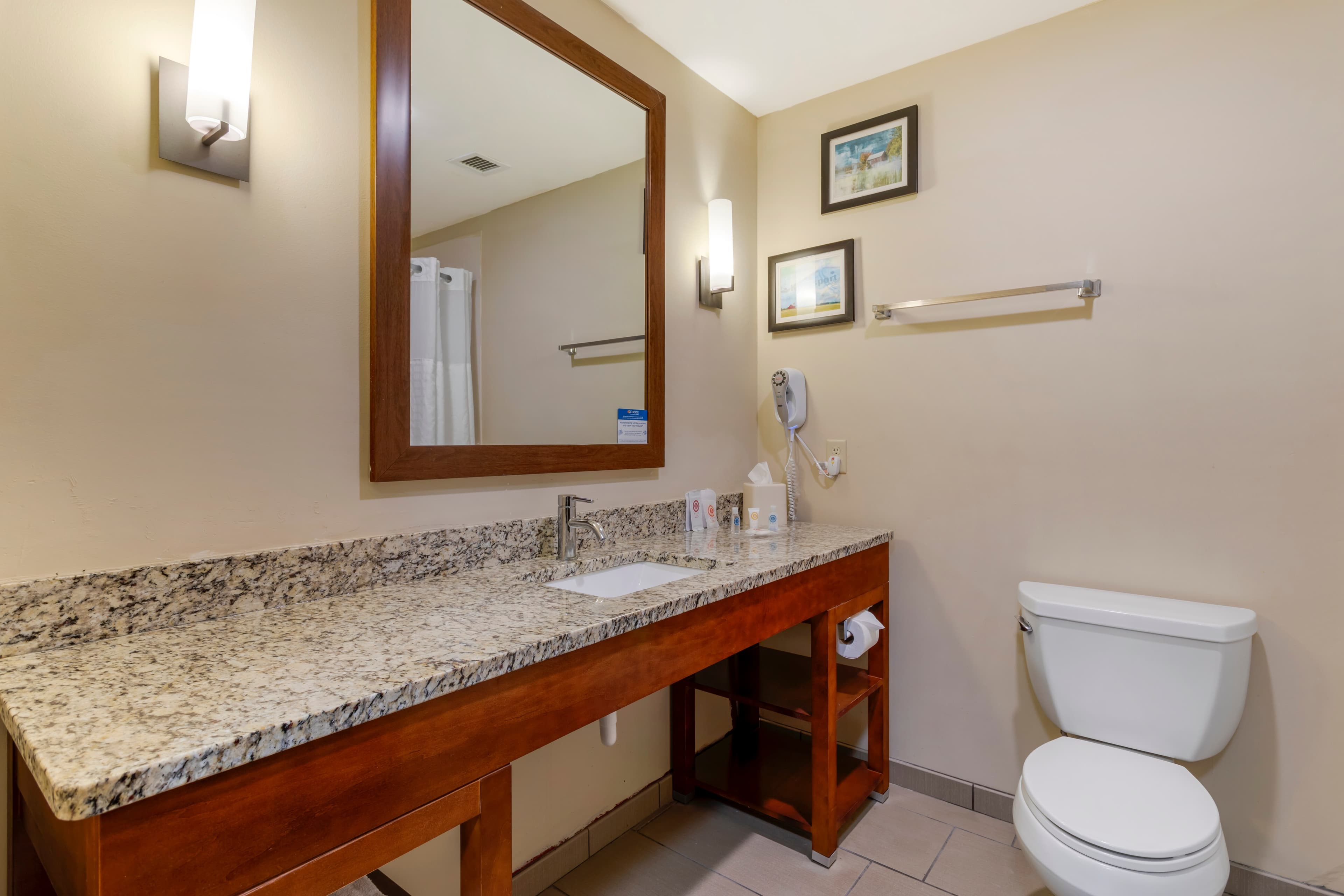 Comfort Suites Kingsport South — 17