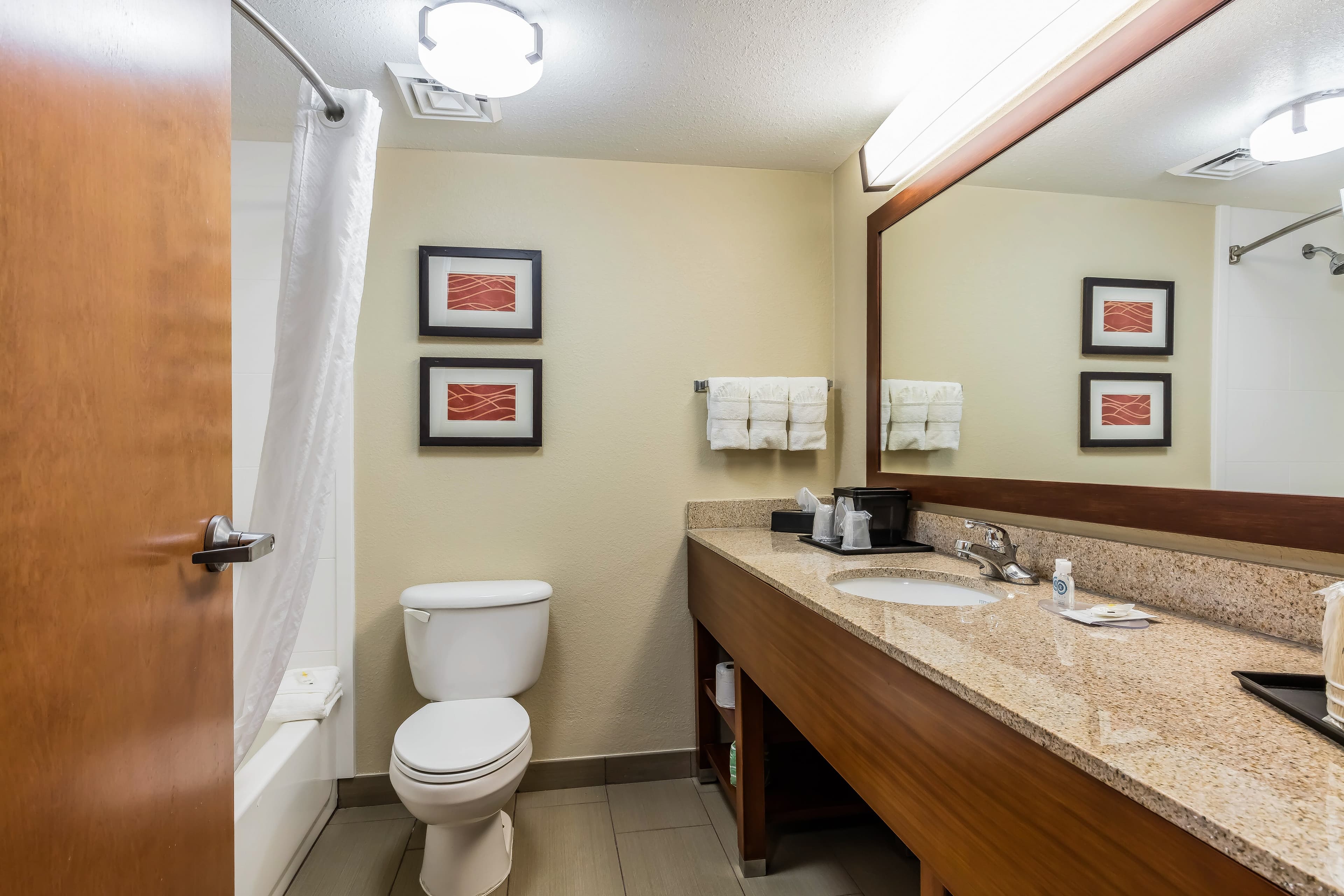 Comfort Inn & Suites Airport-American Way — 13