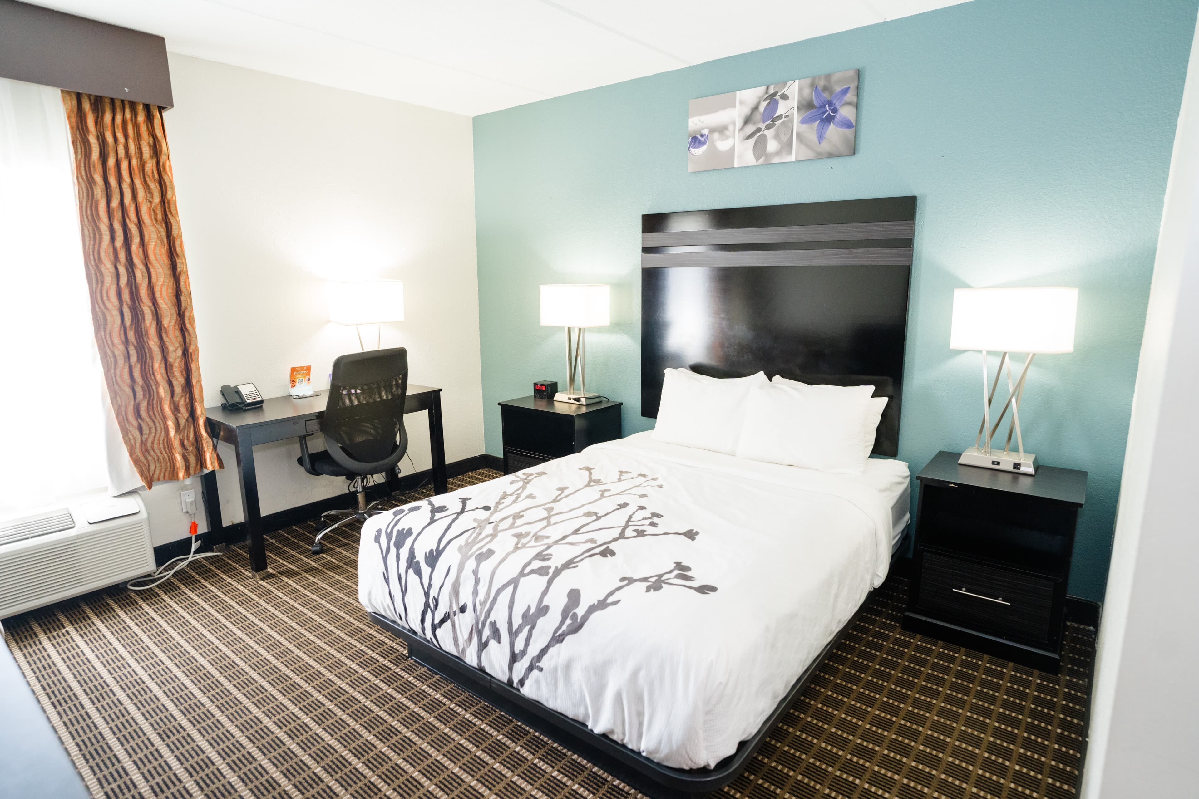 Sleep Inn & Suites West Knoxville — 8