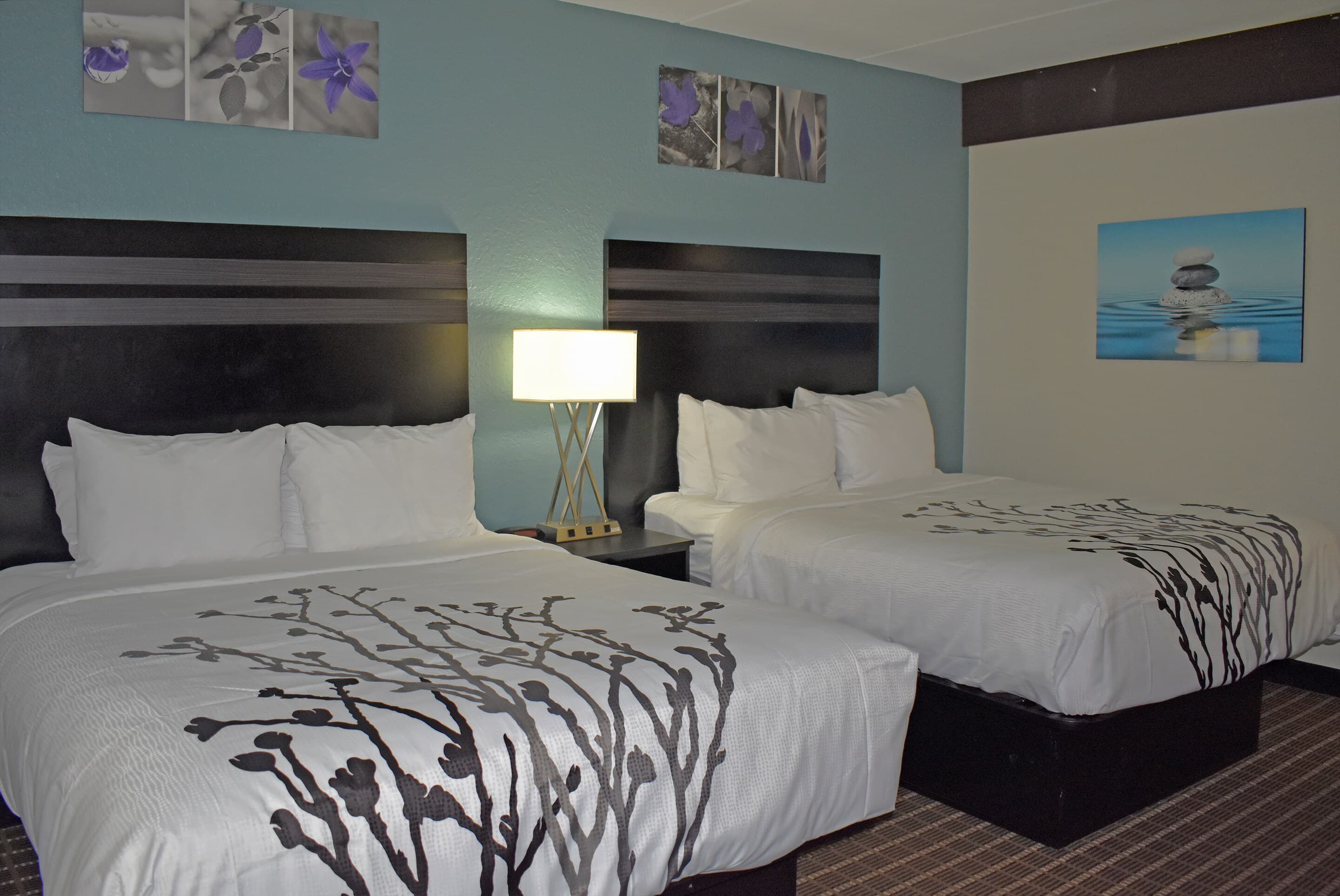 Sleep Inn & Suites West Knoxville — 34