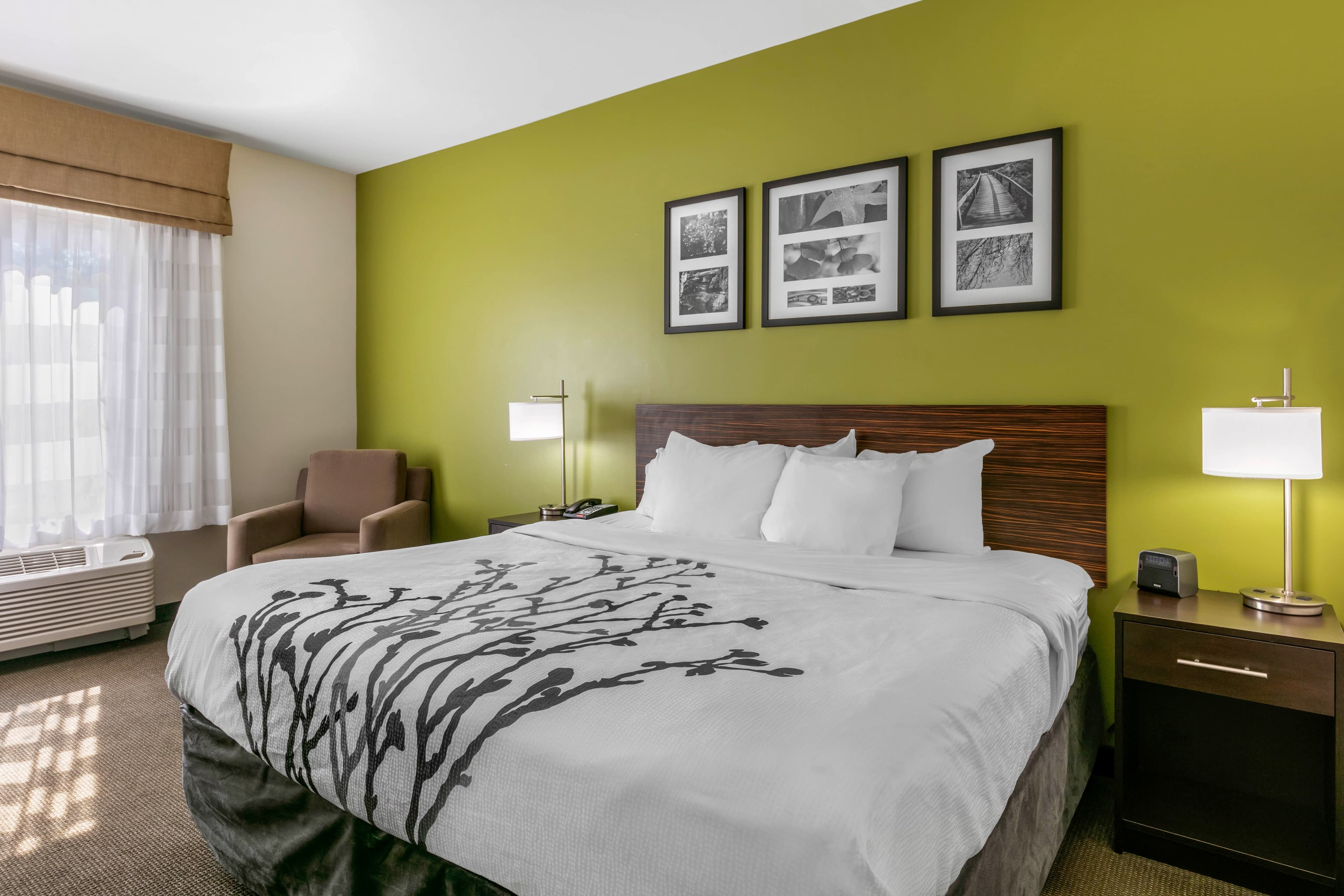 Sleep Inn & Suites Columbia I-65 — 7