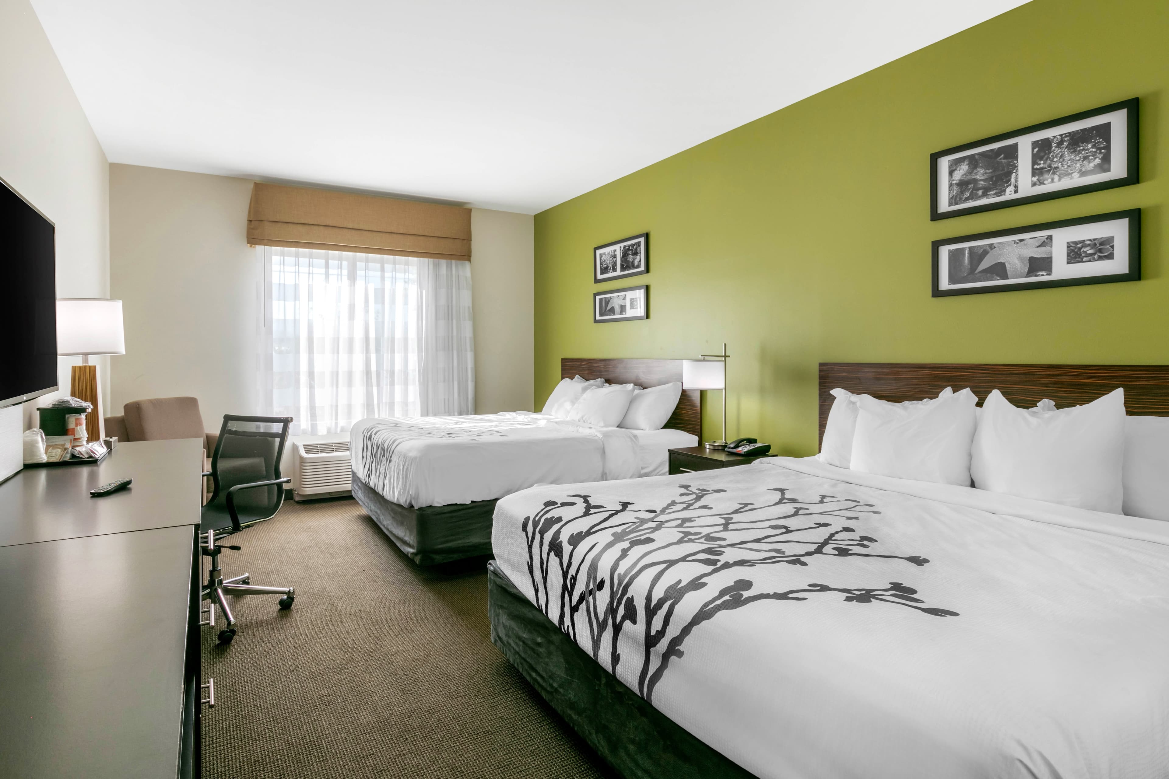 Sleep Inn & Suites Columbia I-65 — 12