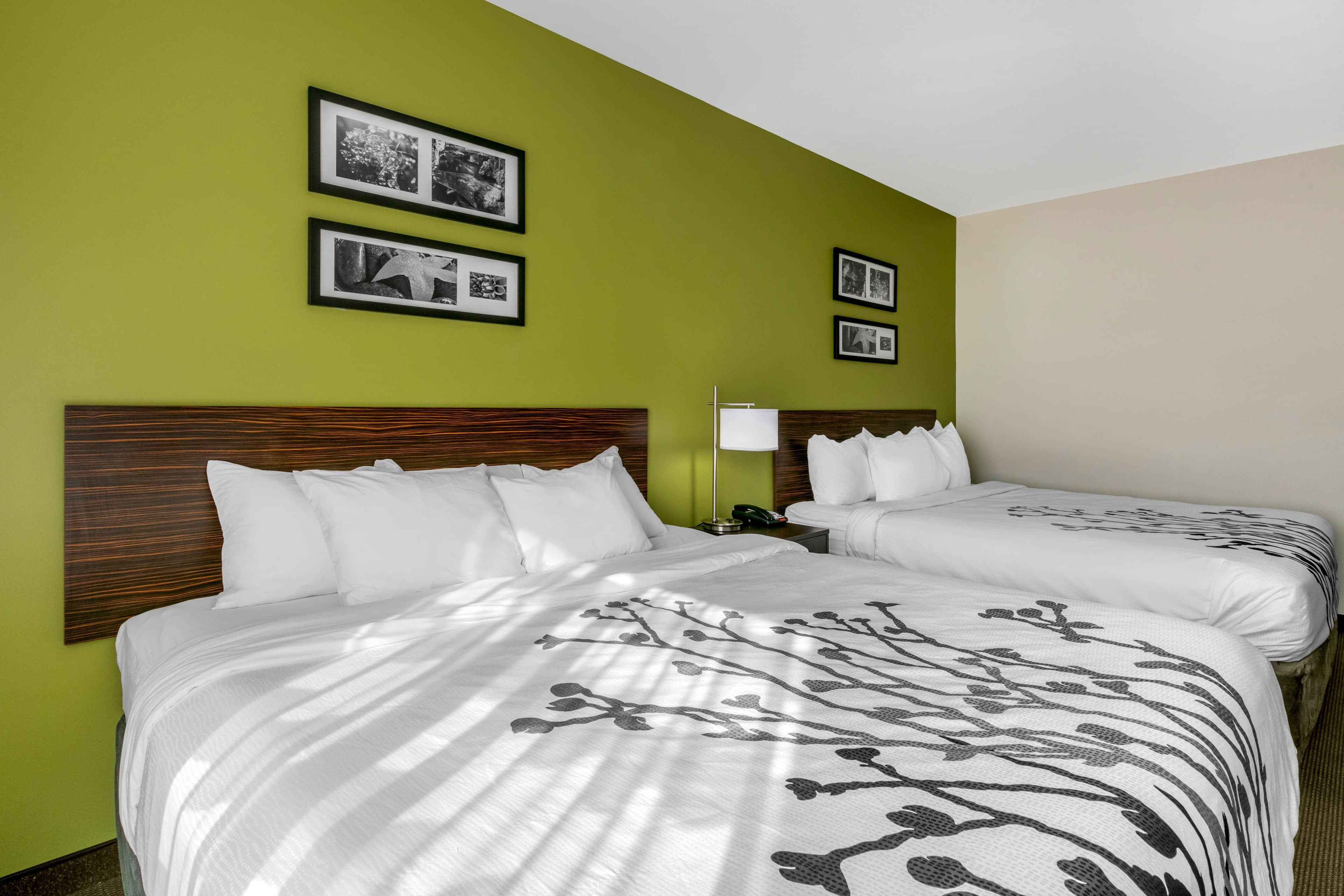 Sleep Inn & Suites Columbia I-65 — 15