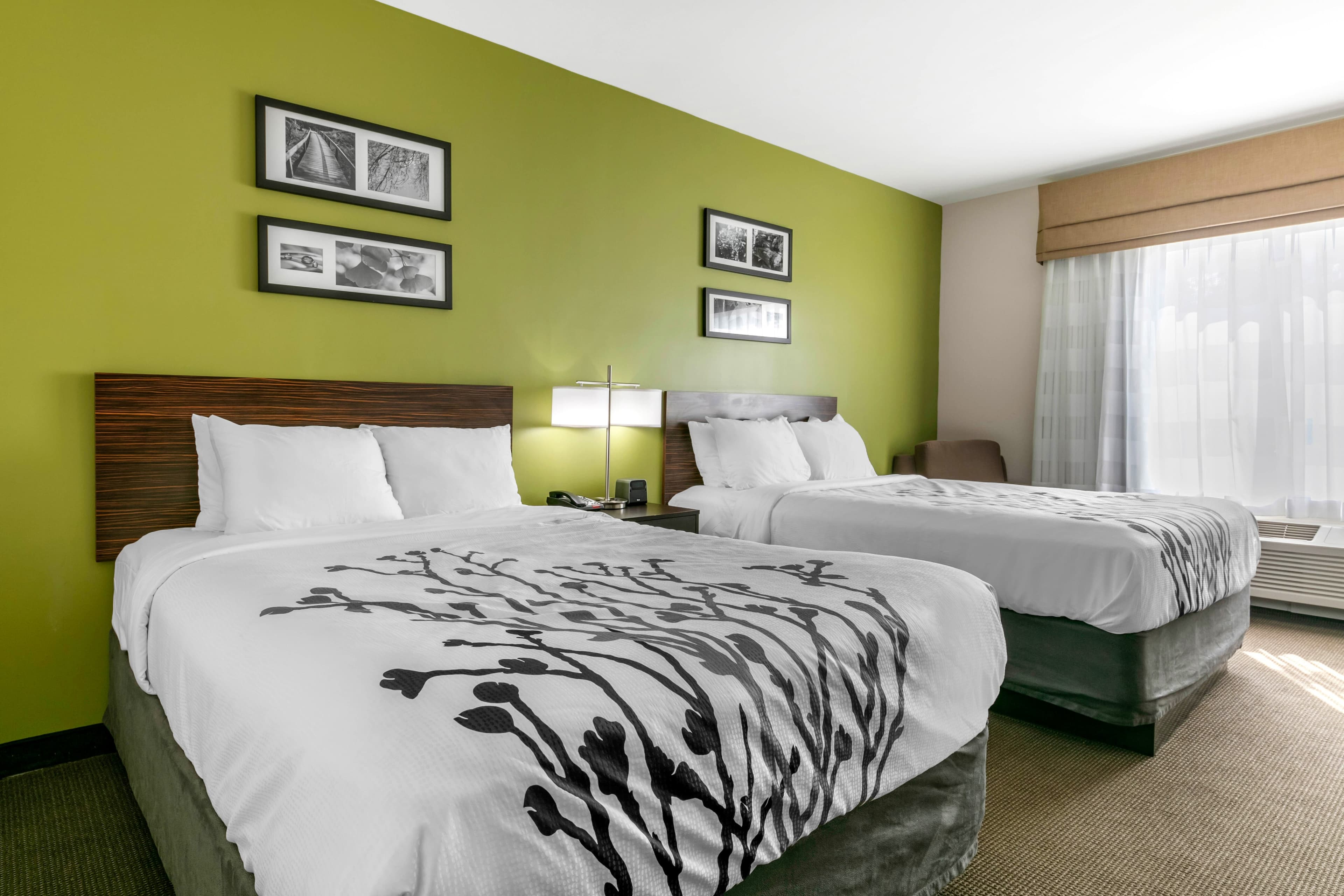 Sleep Inn & Suites Columbia I-65 - Image 3