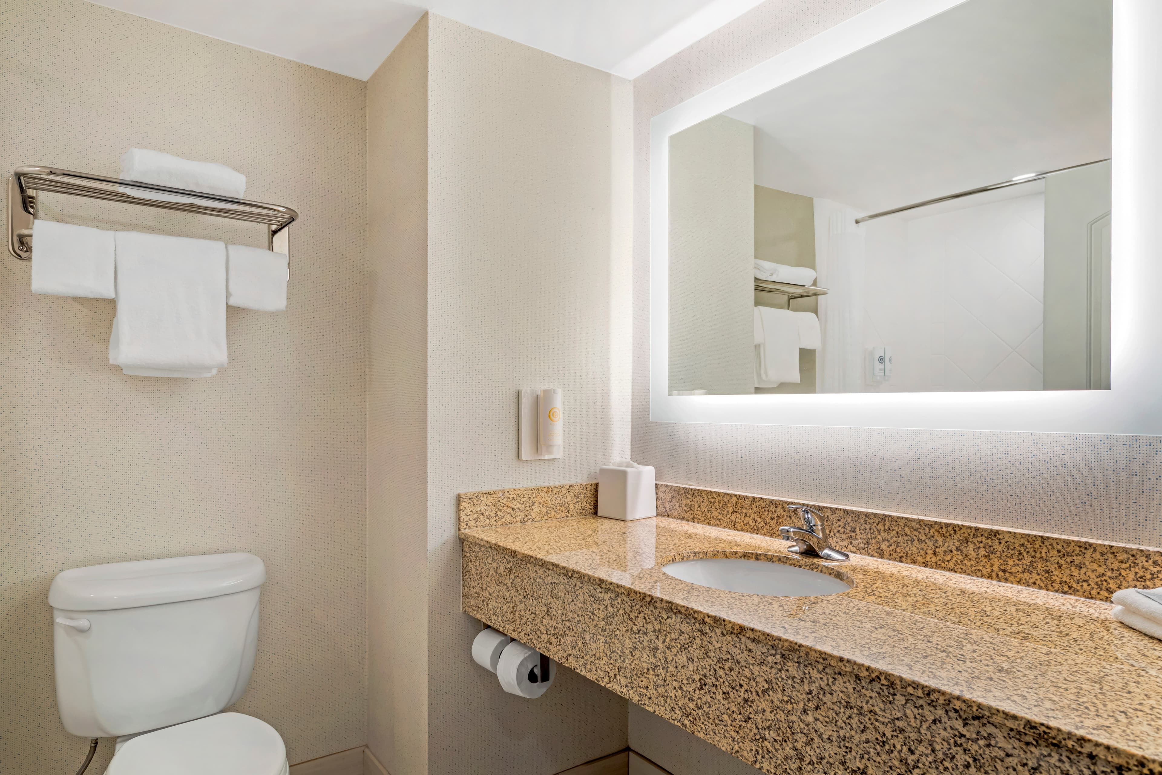 Comfort Inn Dayton South — 9
