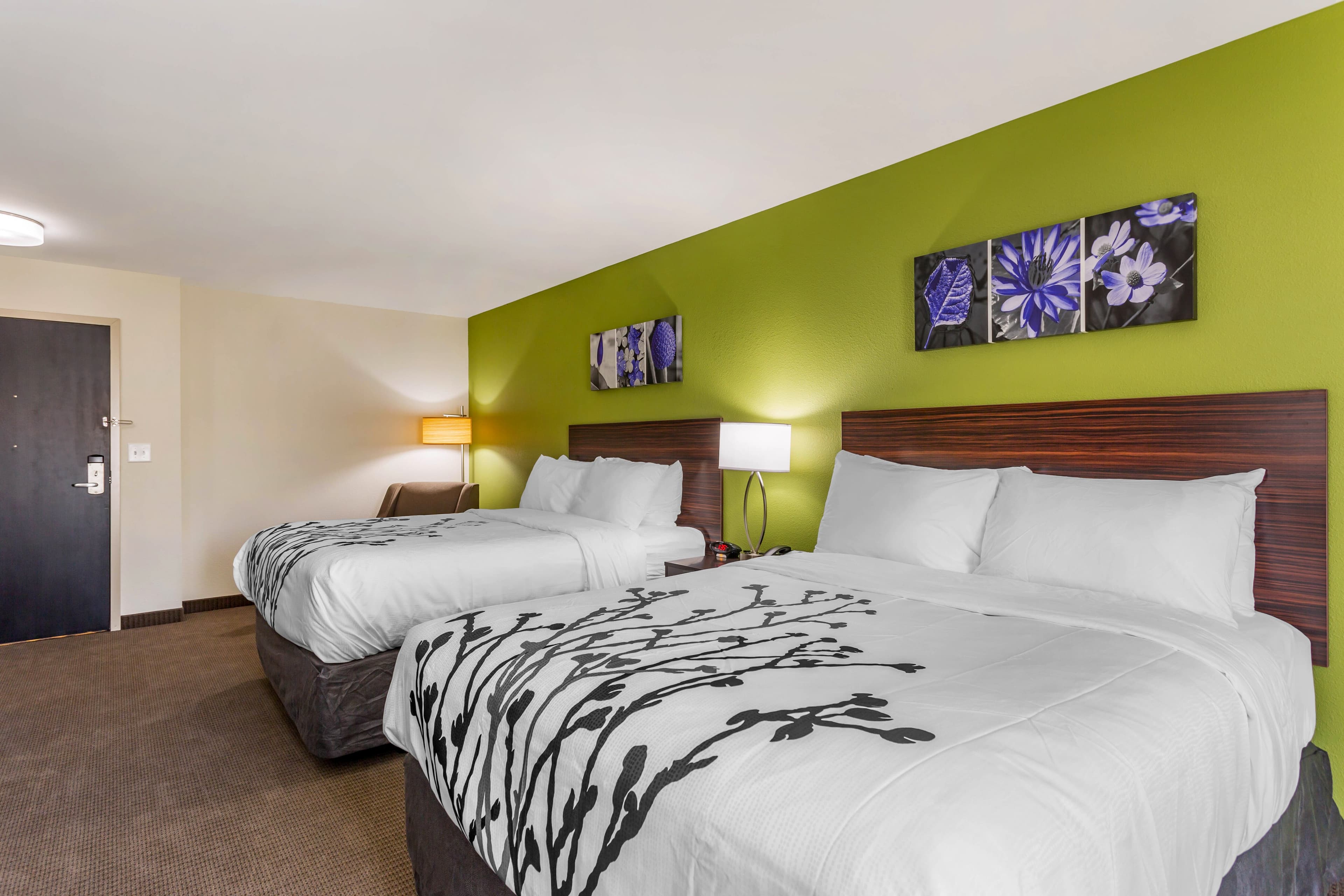 Sleep Inn & Suites Gallatin - Nashville Metro - Image 2
