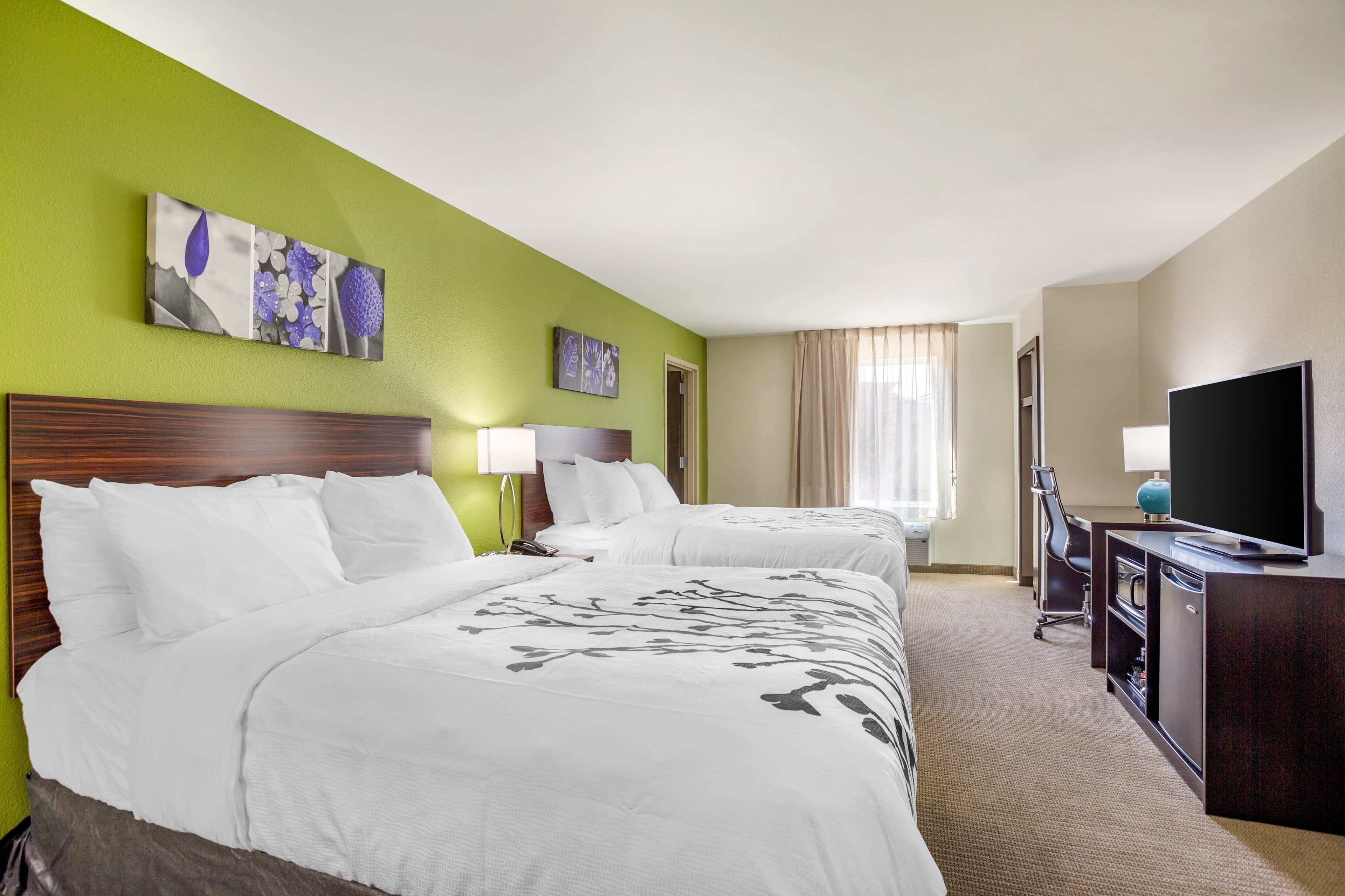 Sleep Inn & Suites Gallatin - Nashville Metro - Image 4