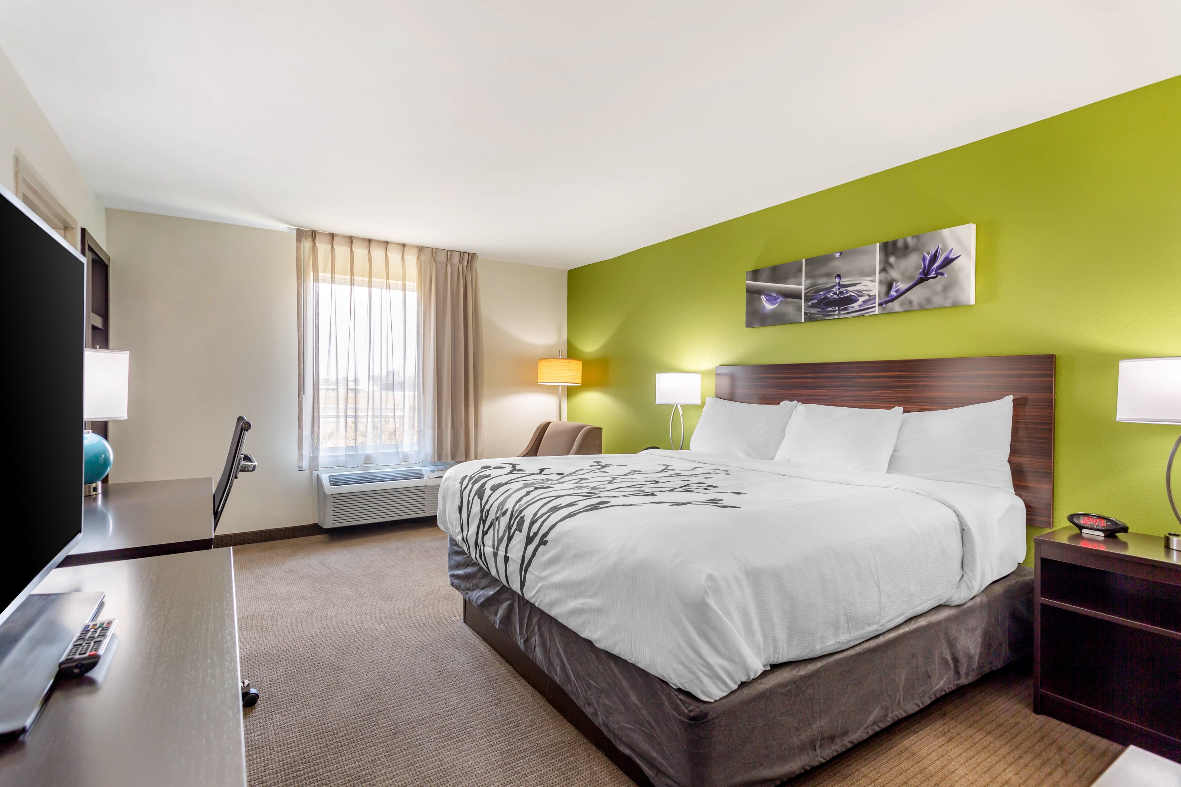 Sleep Inn & Suites Gallatin - Nashville Metro - Image 1