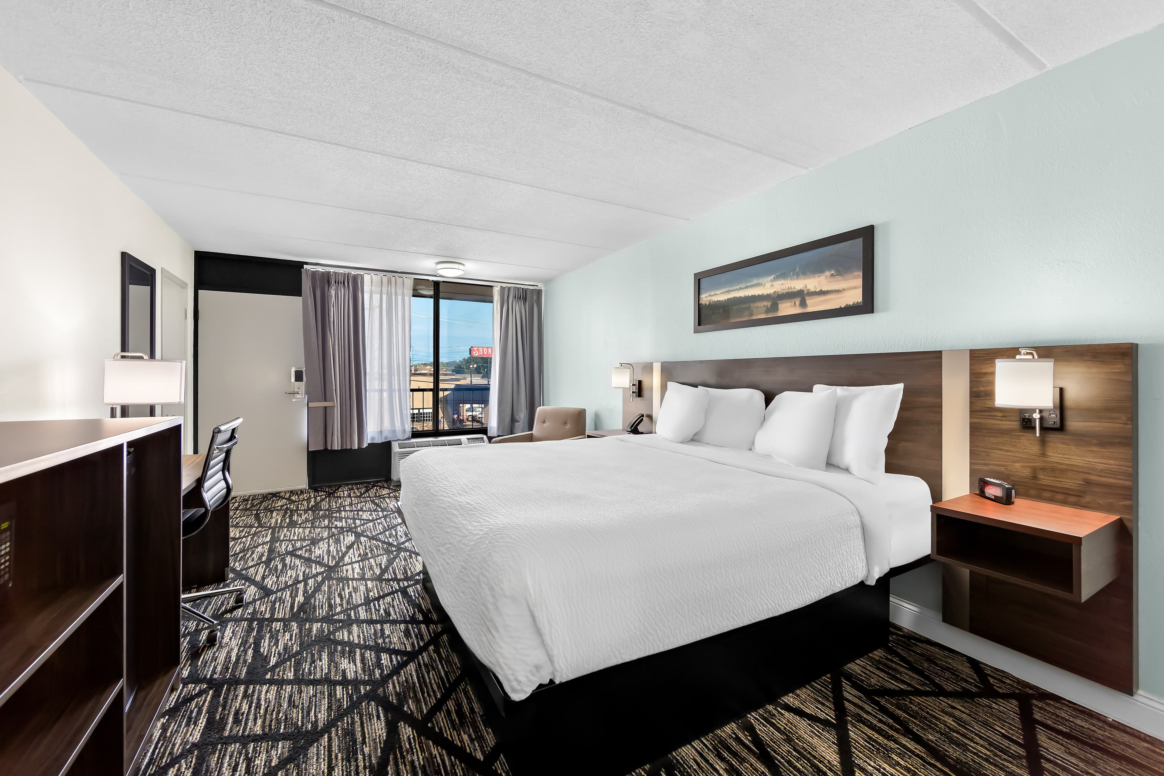 Clarion Inn & Suites near the Leconte Center Pigeon Forge - Image 2