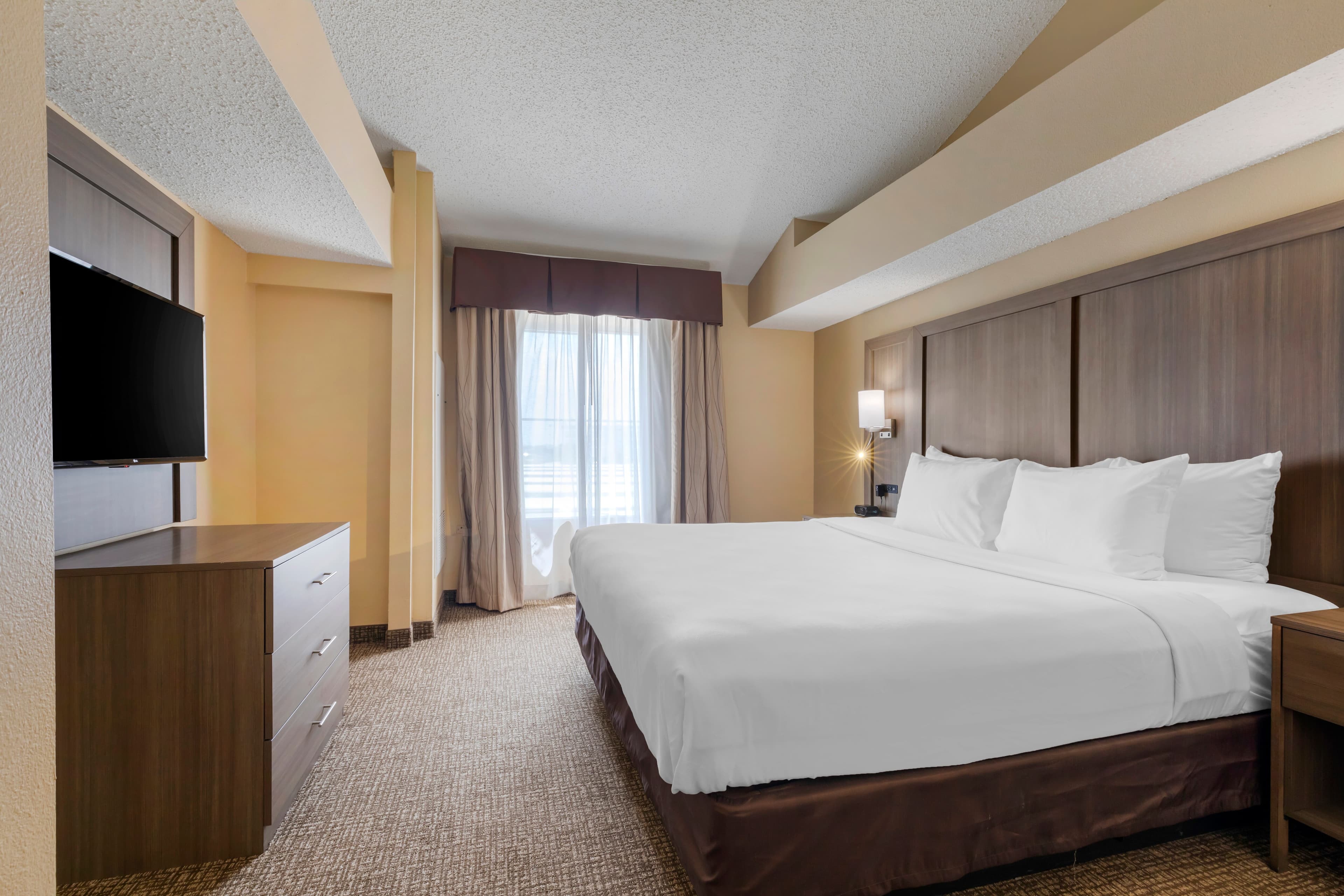 Comfort Suites DFW Airport - Image 3