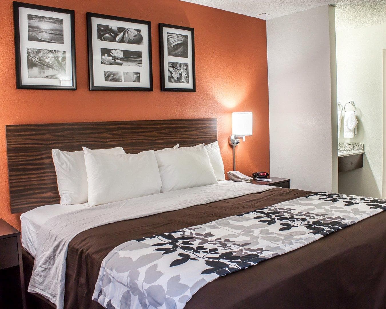 Sleep Inn Arlington Near Six Flags — 14
