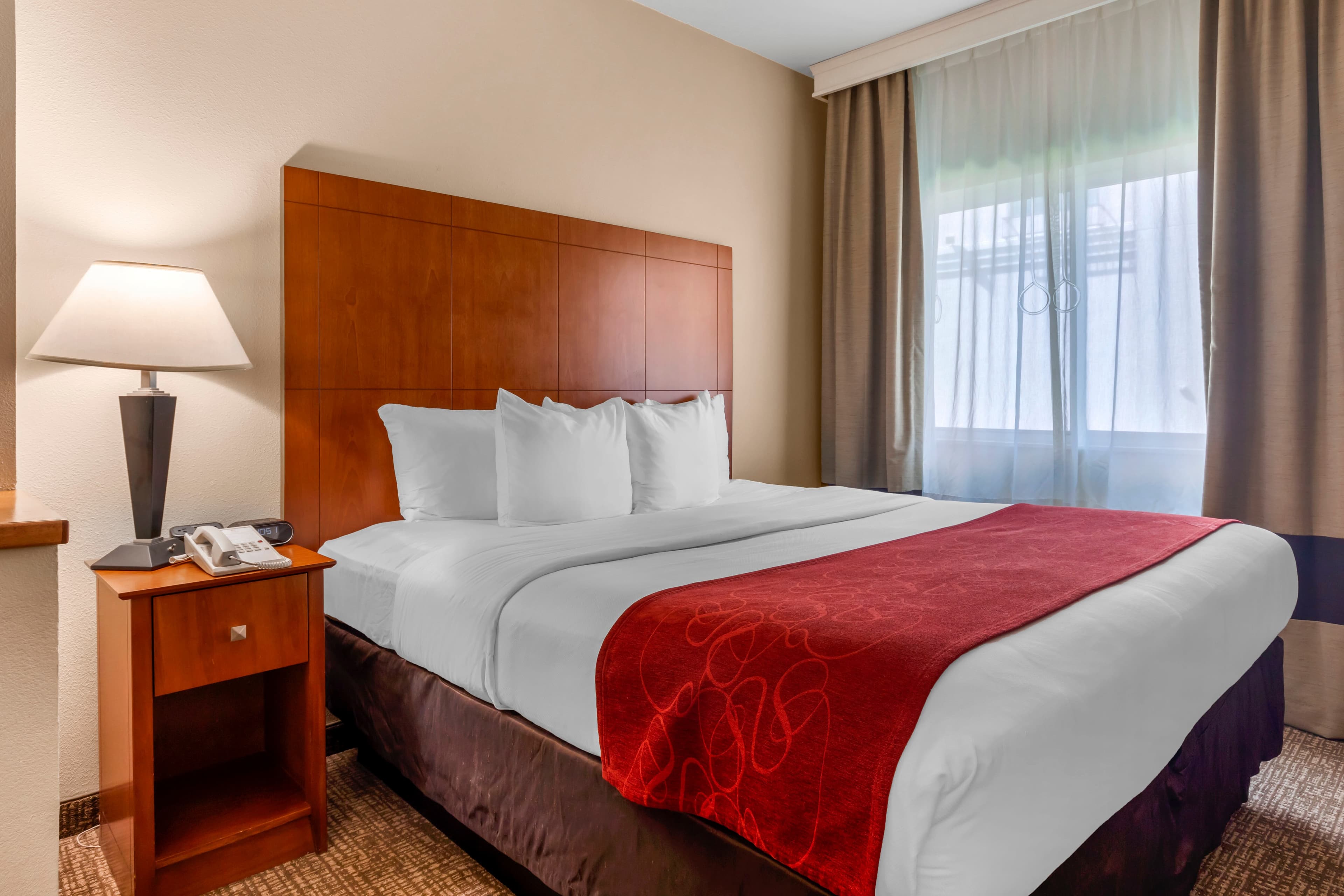 Comfort Suites North Dallas - Image 3