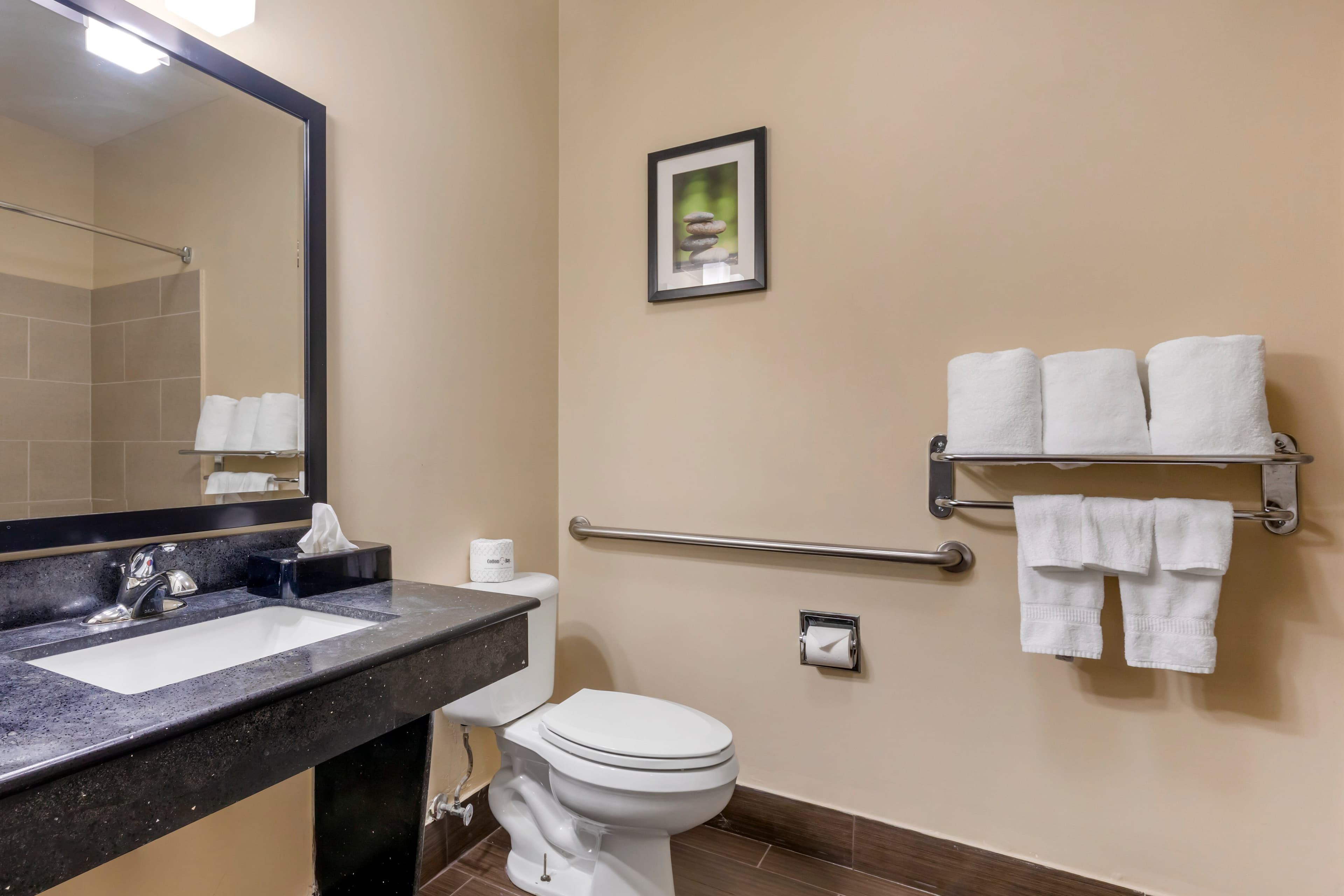 Comfort Suites North Dallas — 7