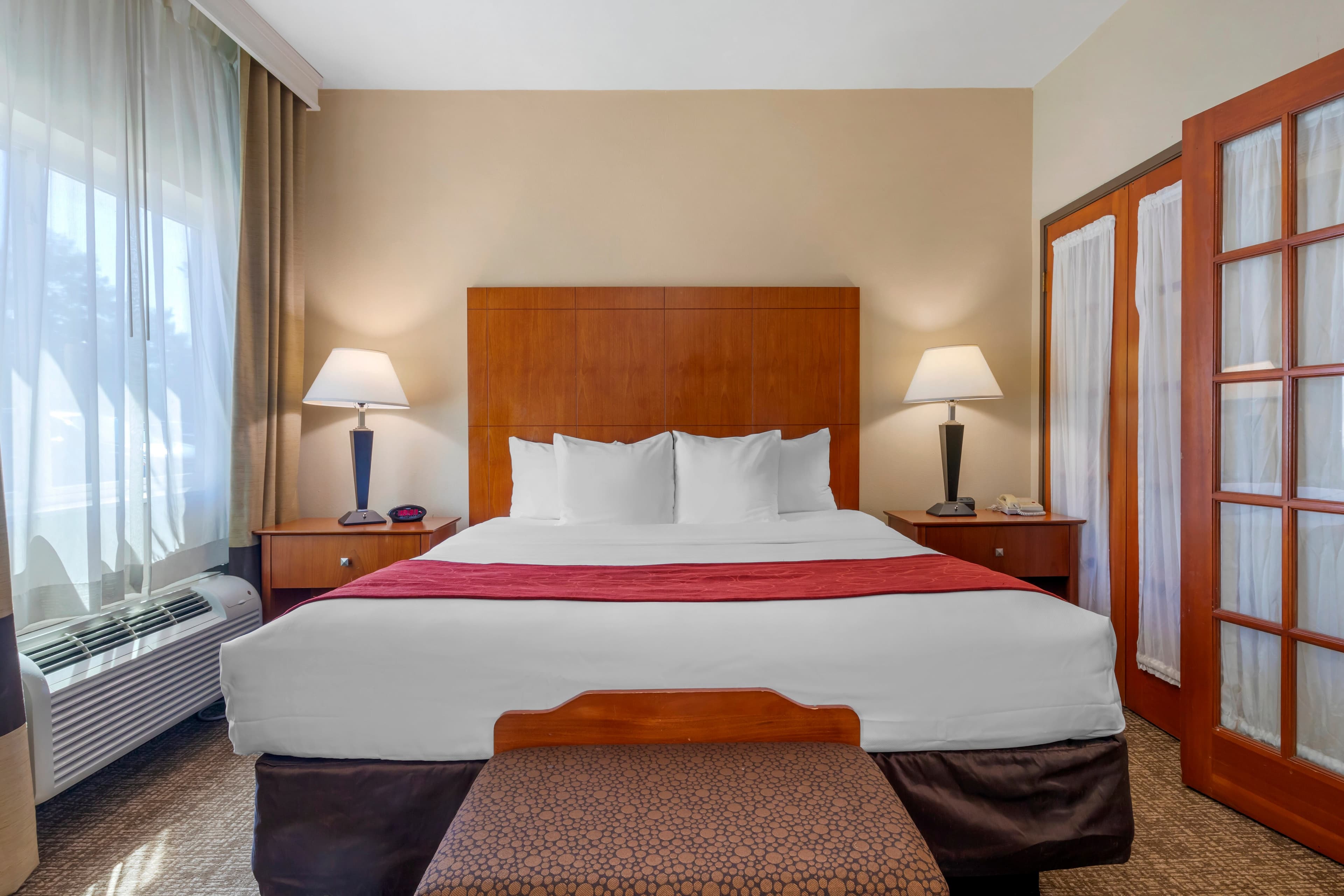 Comfort Suites North Dallas — 10