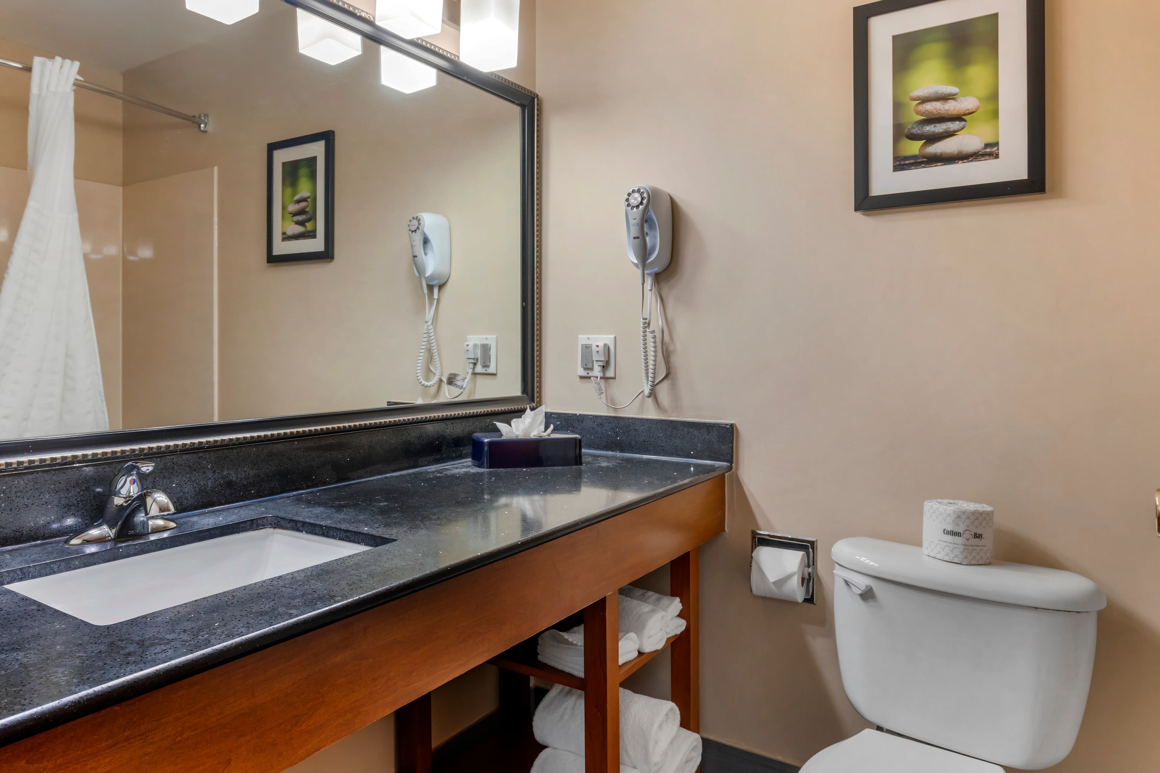 Comfort Suites North Dallas — 19