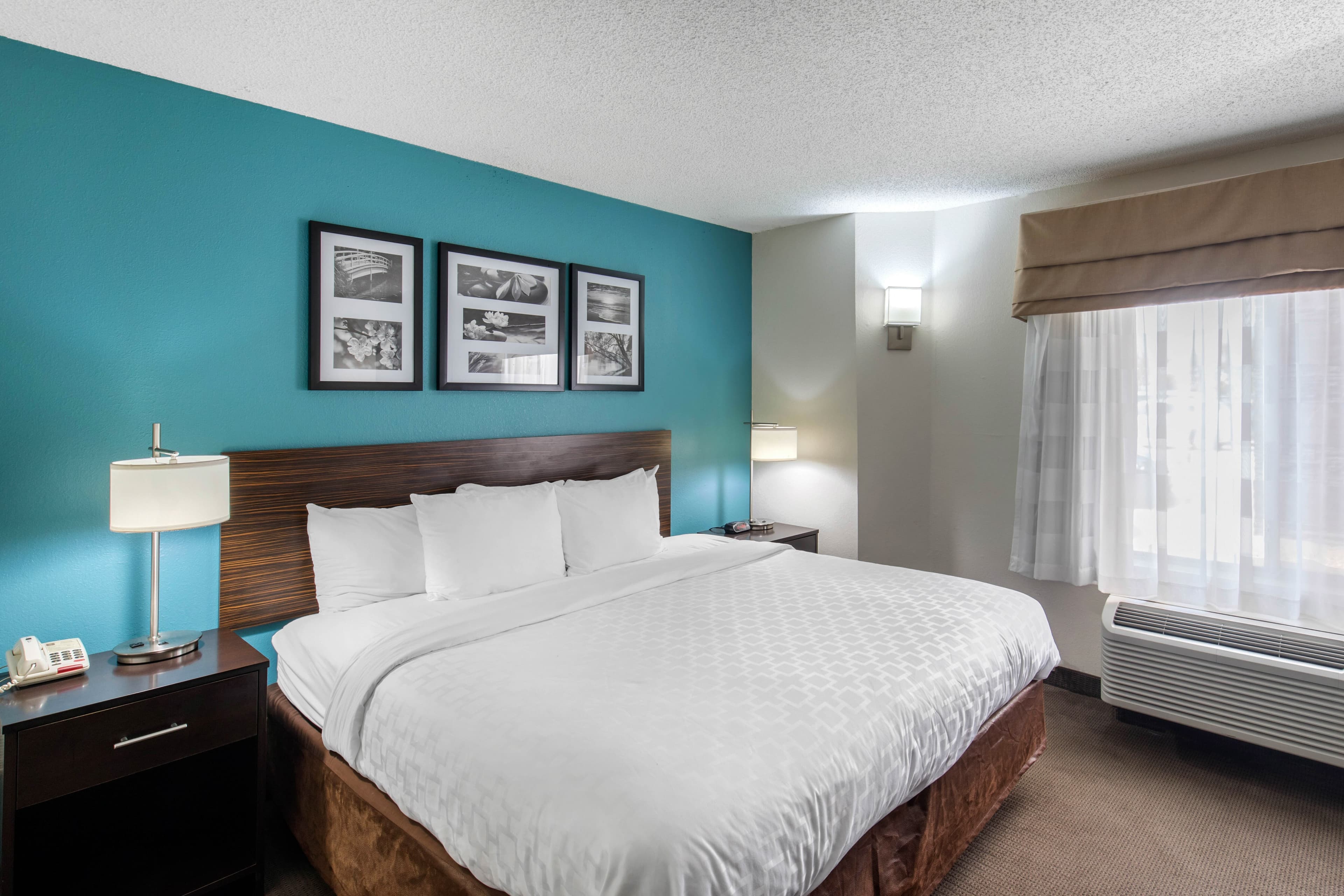 Clarion Inn & Suites DFW North — 14