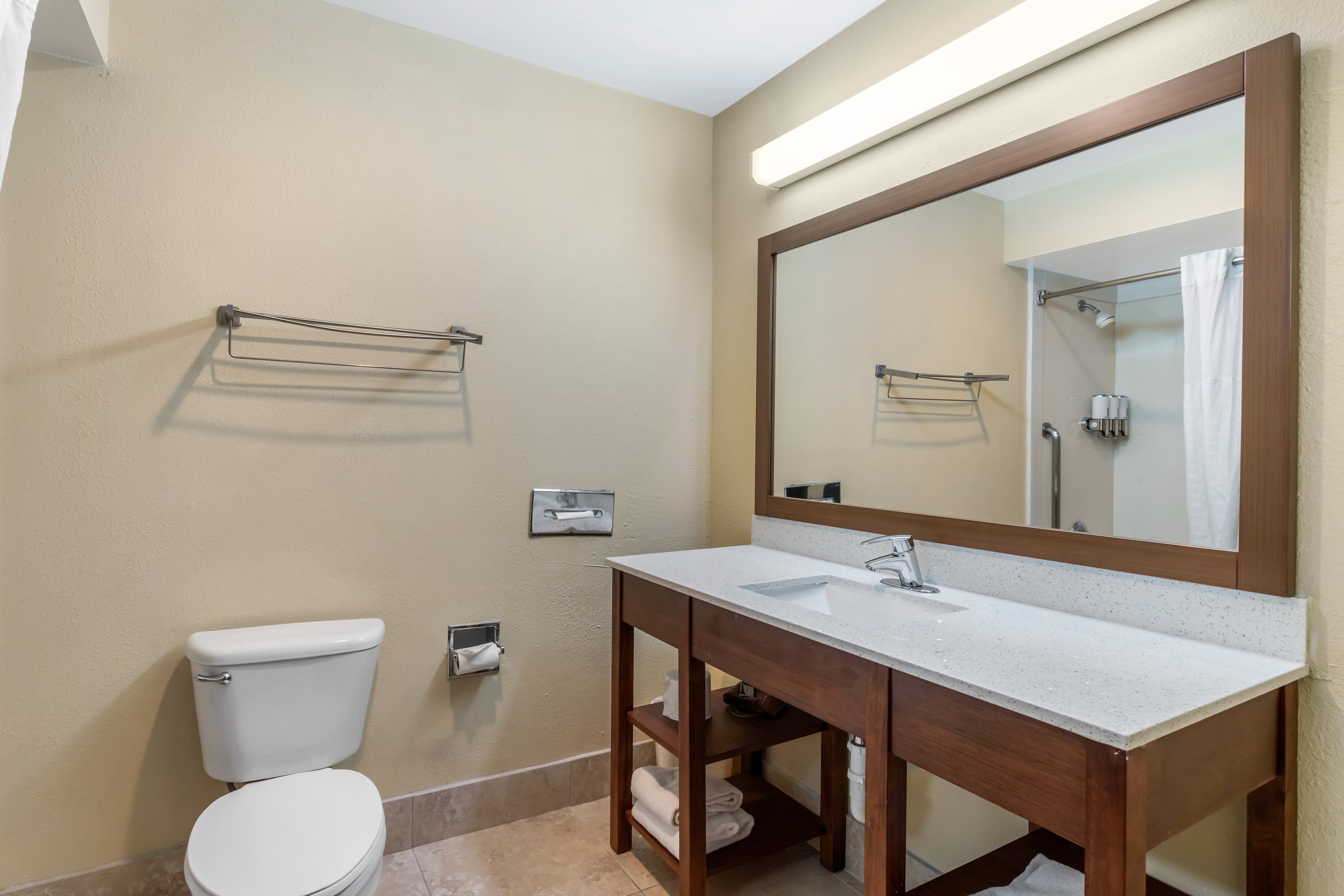 Comfort Suites Bush Intercontinental Airport — 10