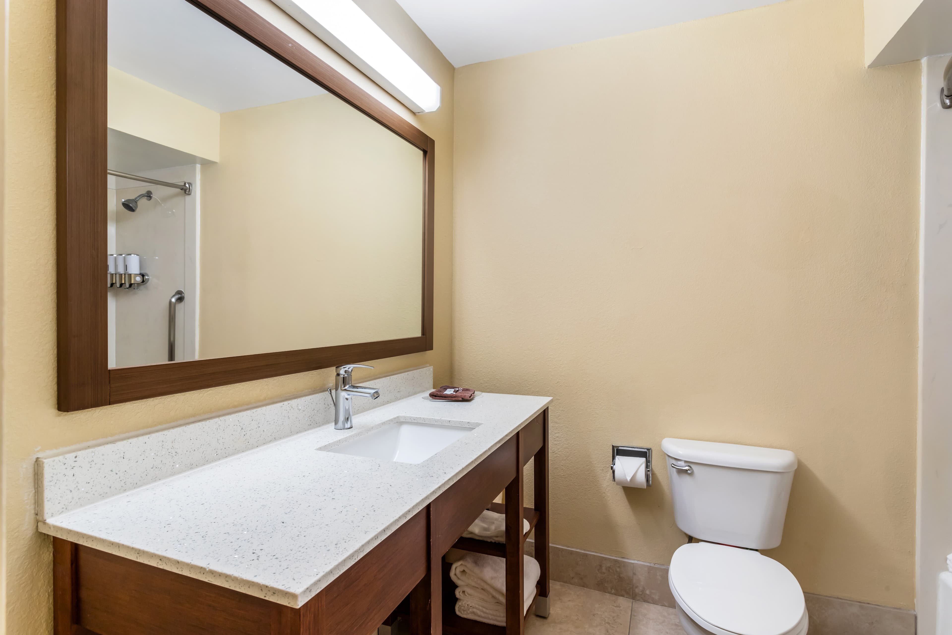 Comfort Suites Bush Intercontinental Airport — 16